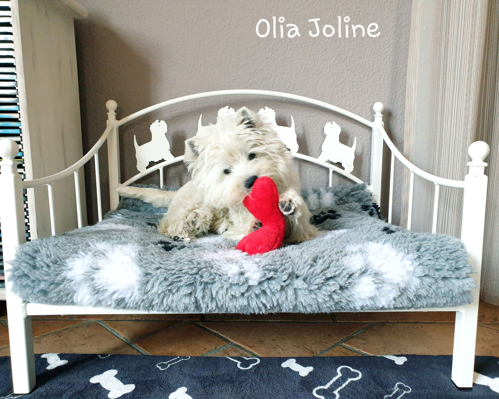 Olia Joline 08/2019