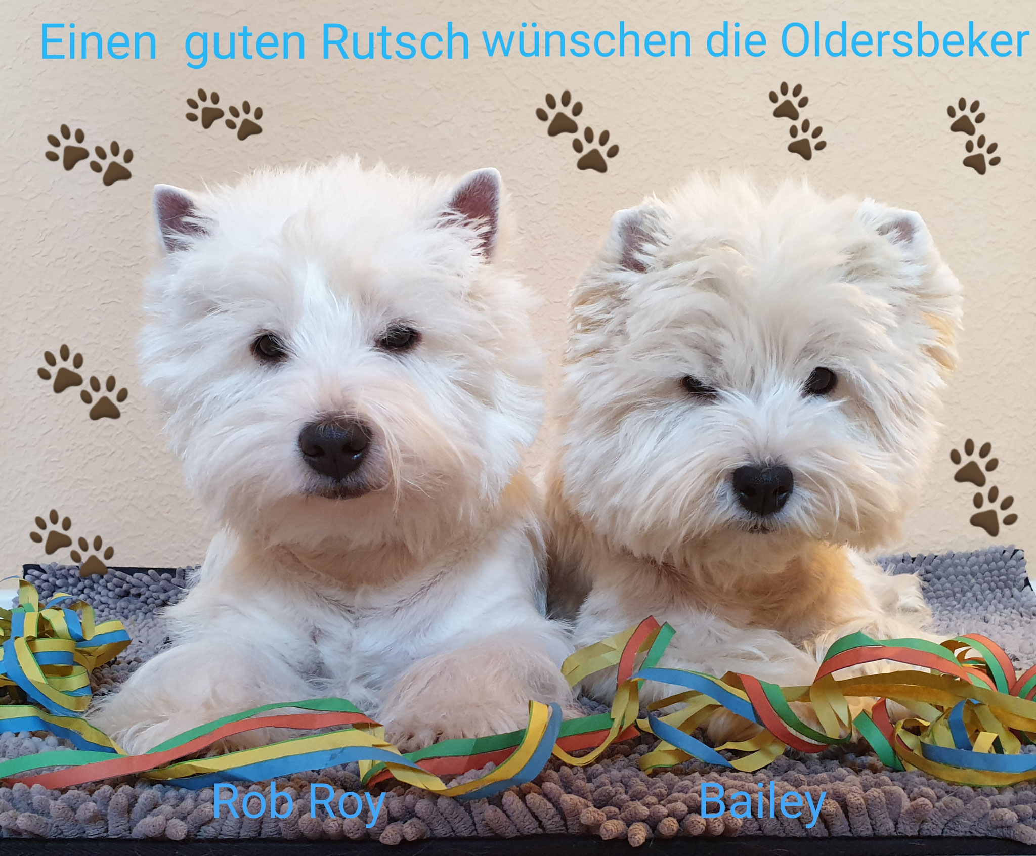 Rob Roy und Bailey Silvester 2019