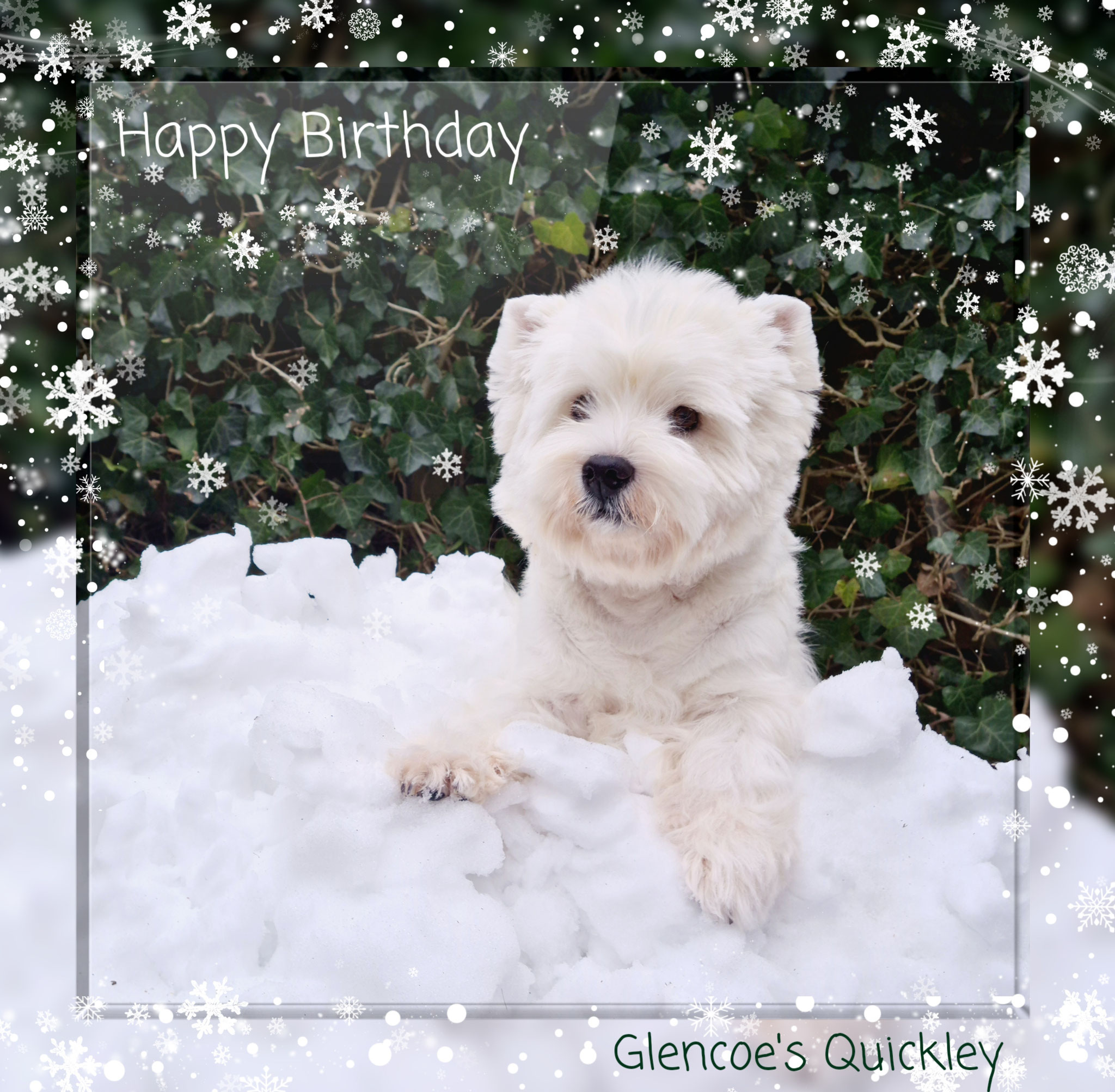 Quickley 02/2021