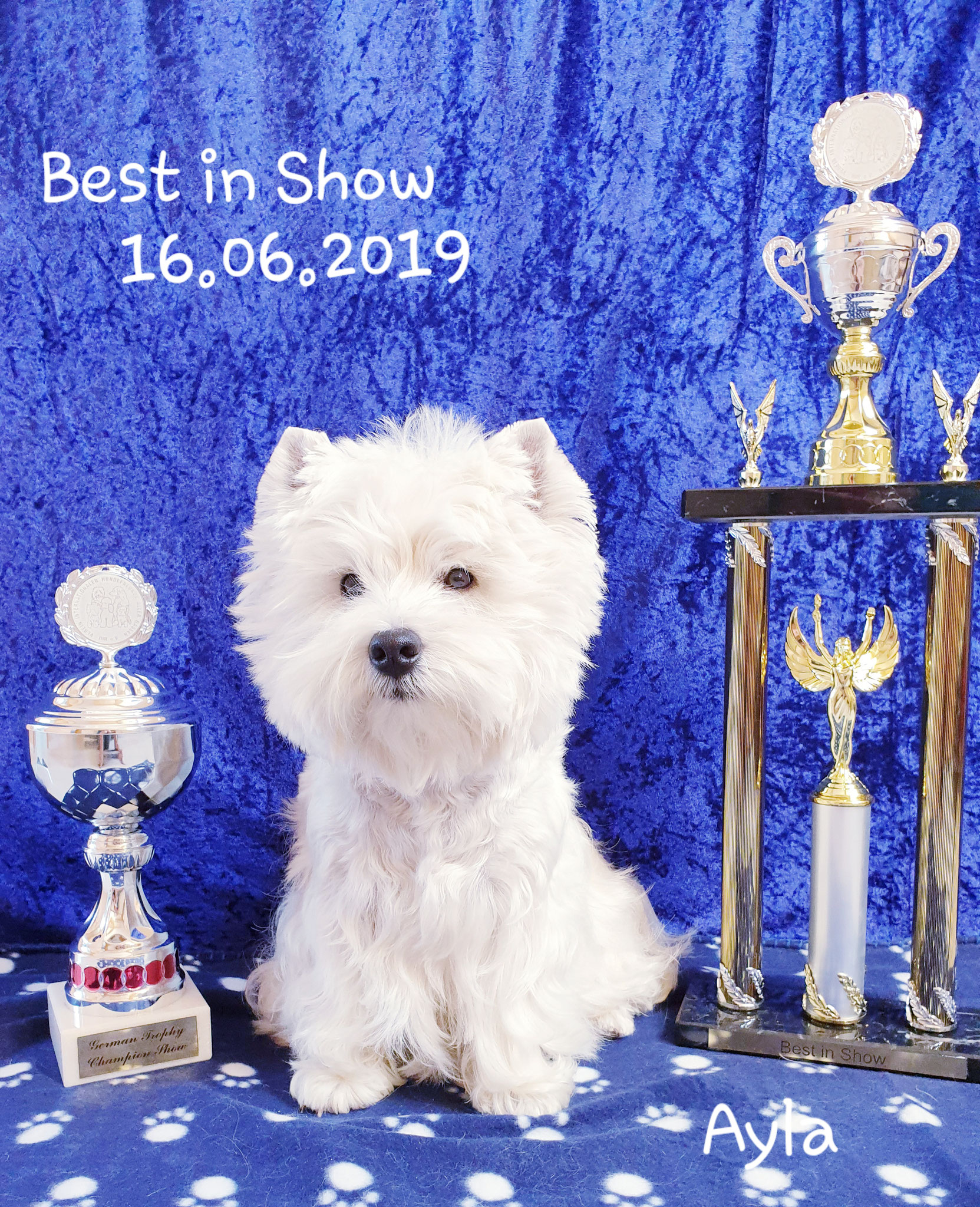 Ayla "Best in Show" am 16.06.2019