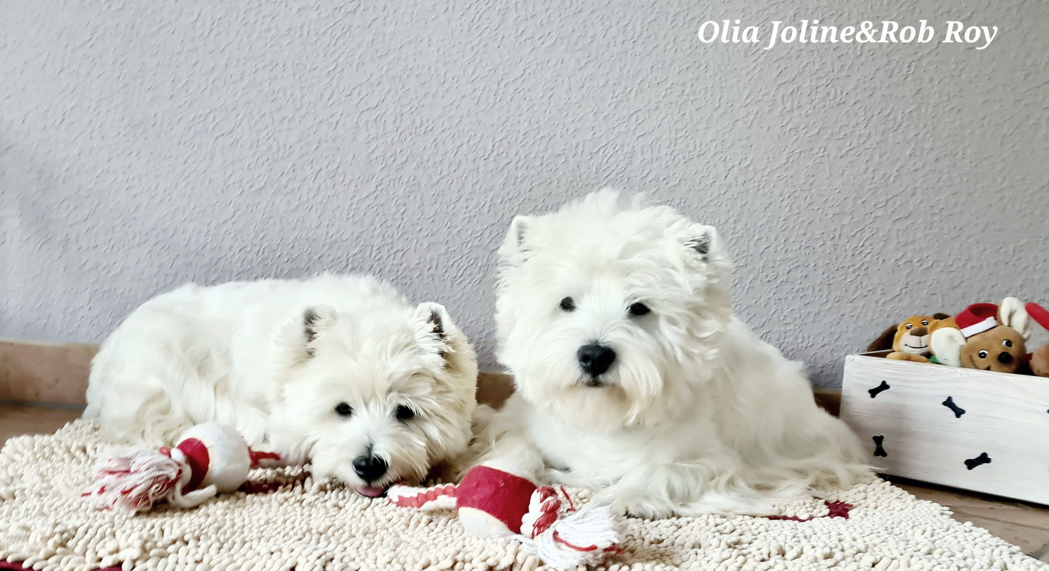 Olia Joline und Rob Roy 09/2021