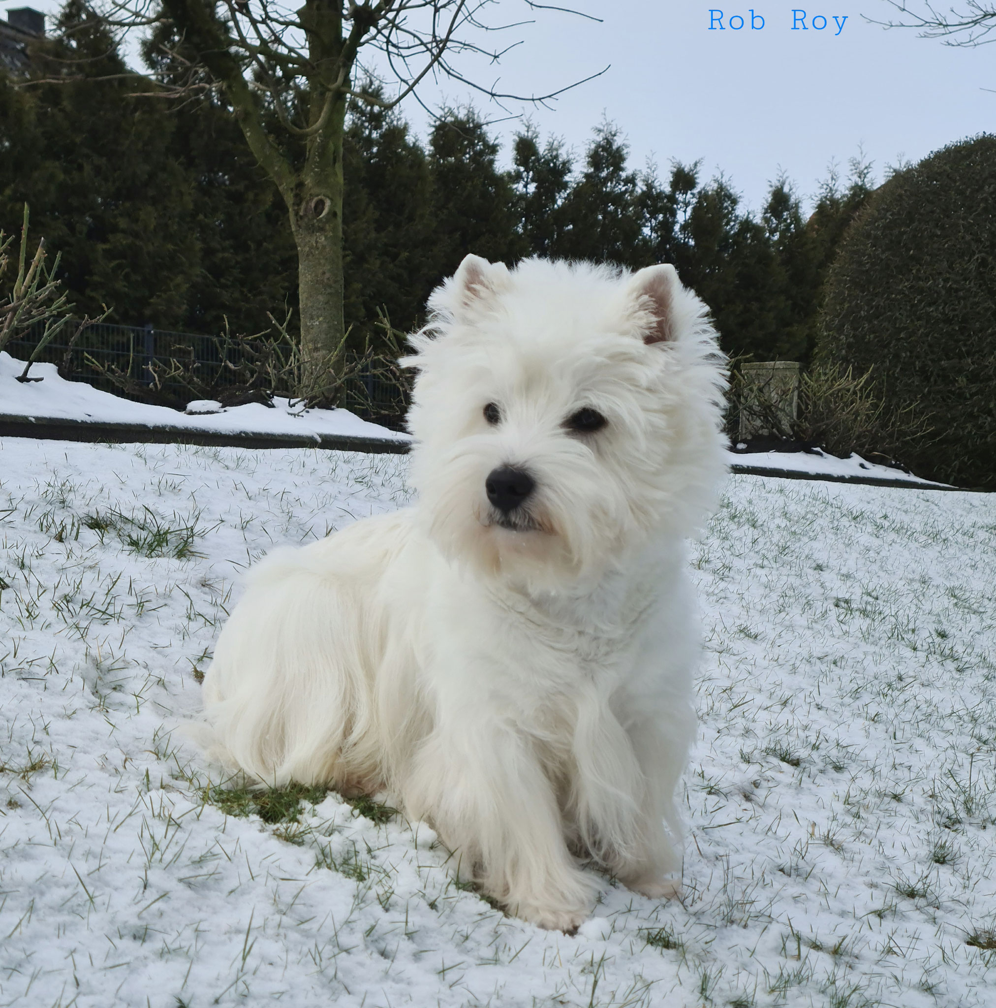 Rob Roy 02/2021
