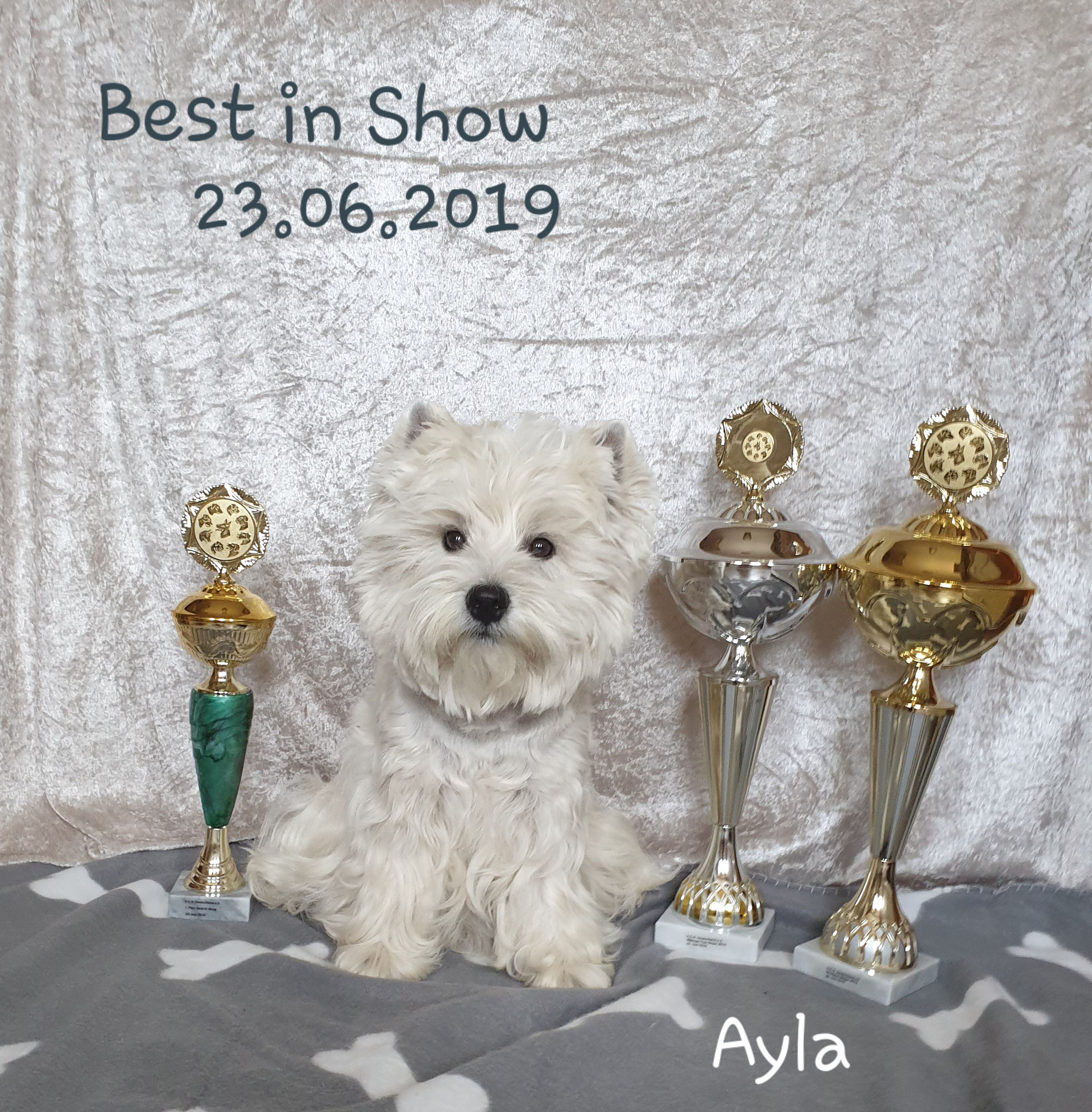 Ayla "Best in Show" 23.06.2019