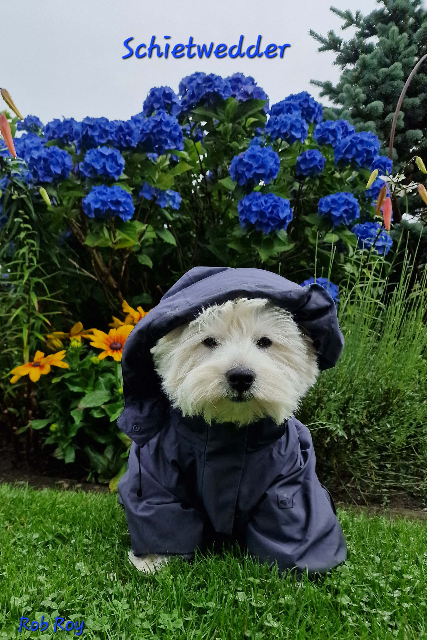 Rob Roy (auch ein Bild im Juli)