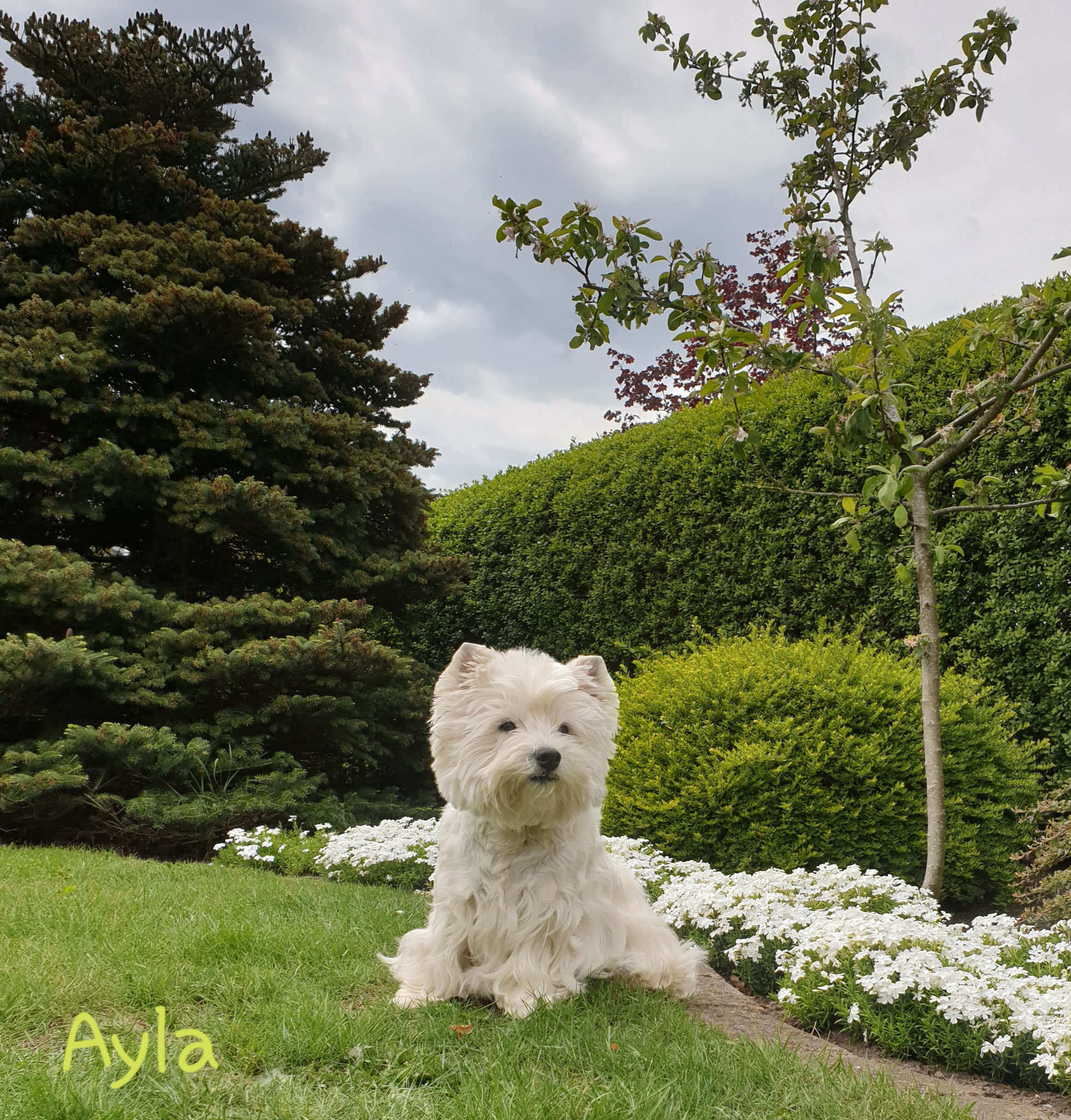 Ayla im Mai 2019