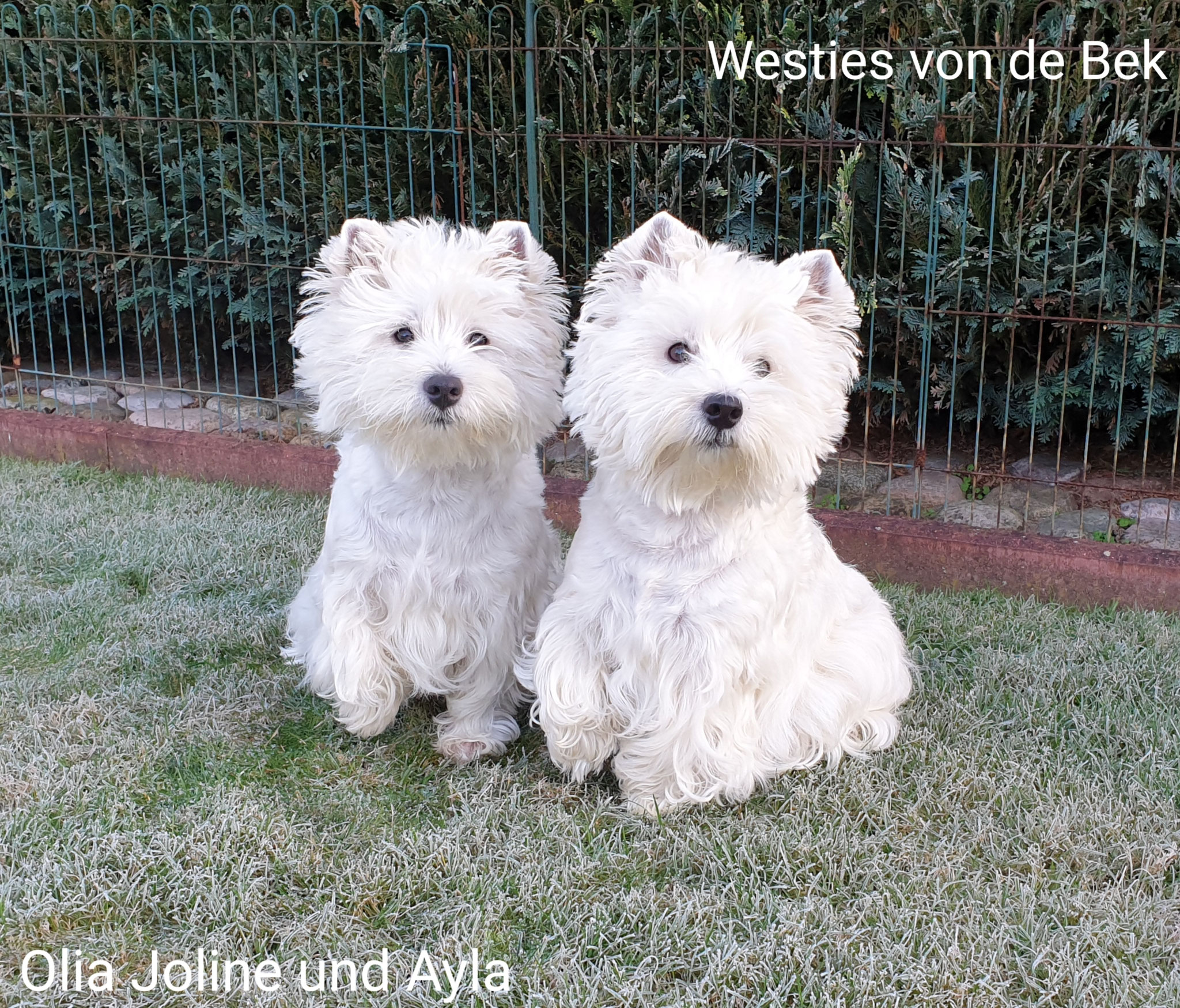 Joline und Ayla 10/2019