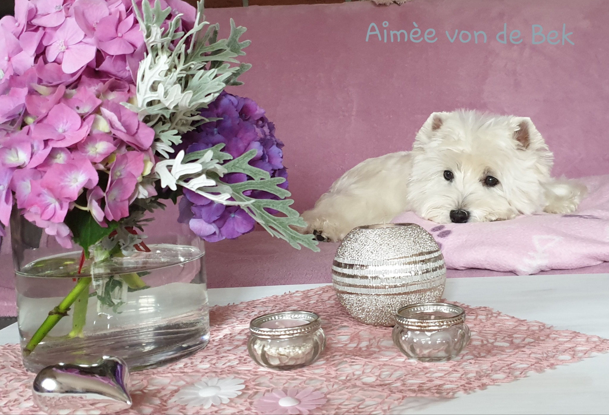 Aimée von de Bek 10.ter Geburtstag