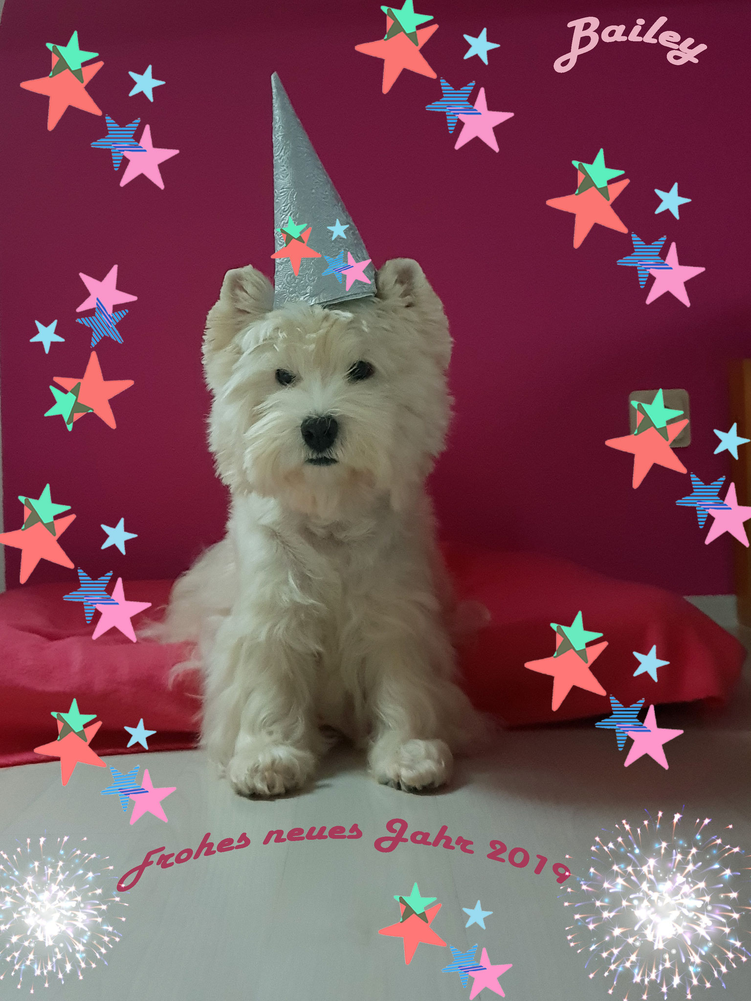 Bailey Neujahr 2019