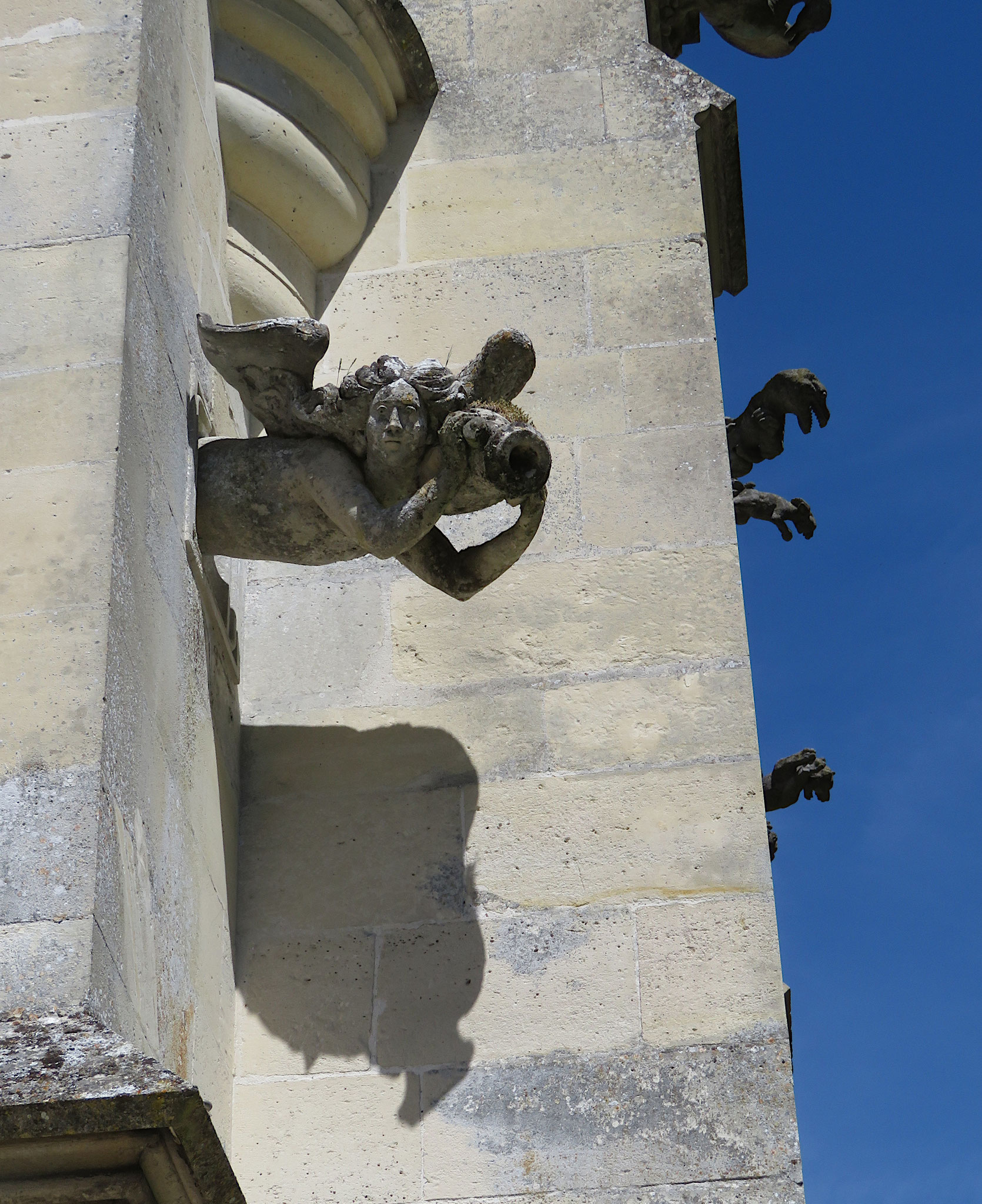 Gargouille façade sud 