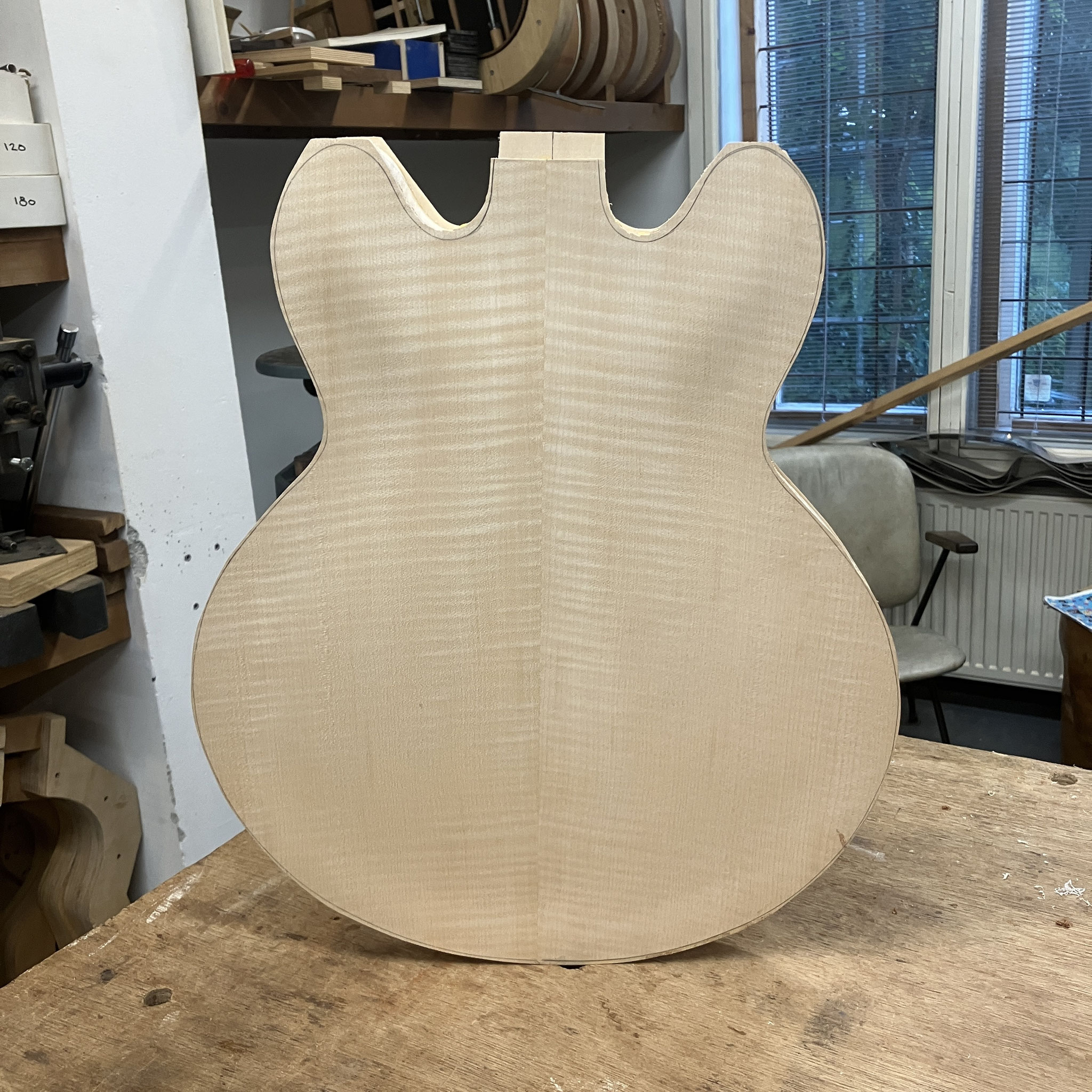 The back