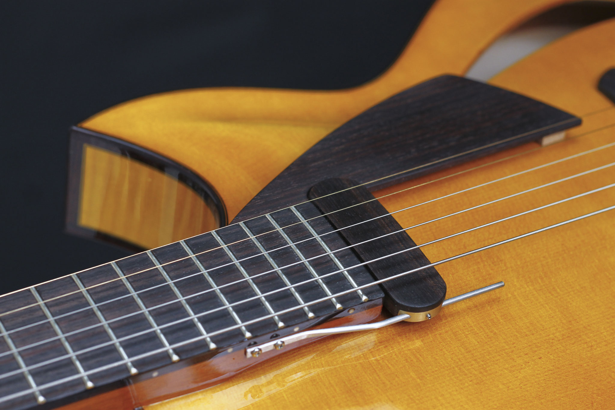 Heeres Archtop & Nylon Jazz Heeres Custom Guitars