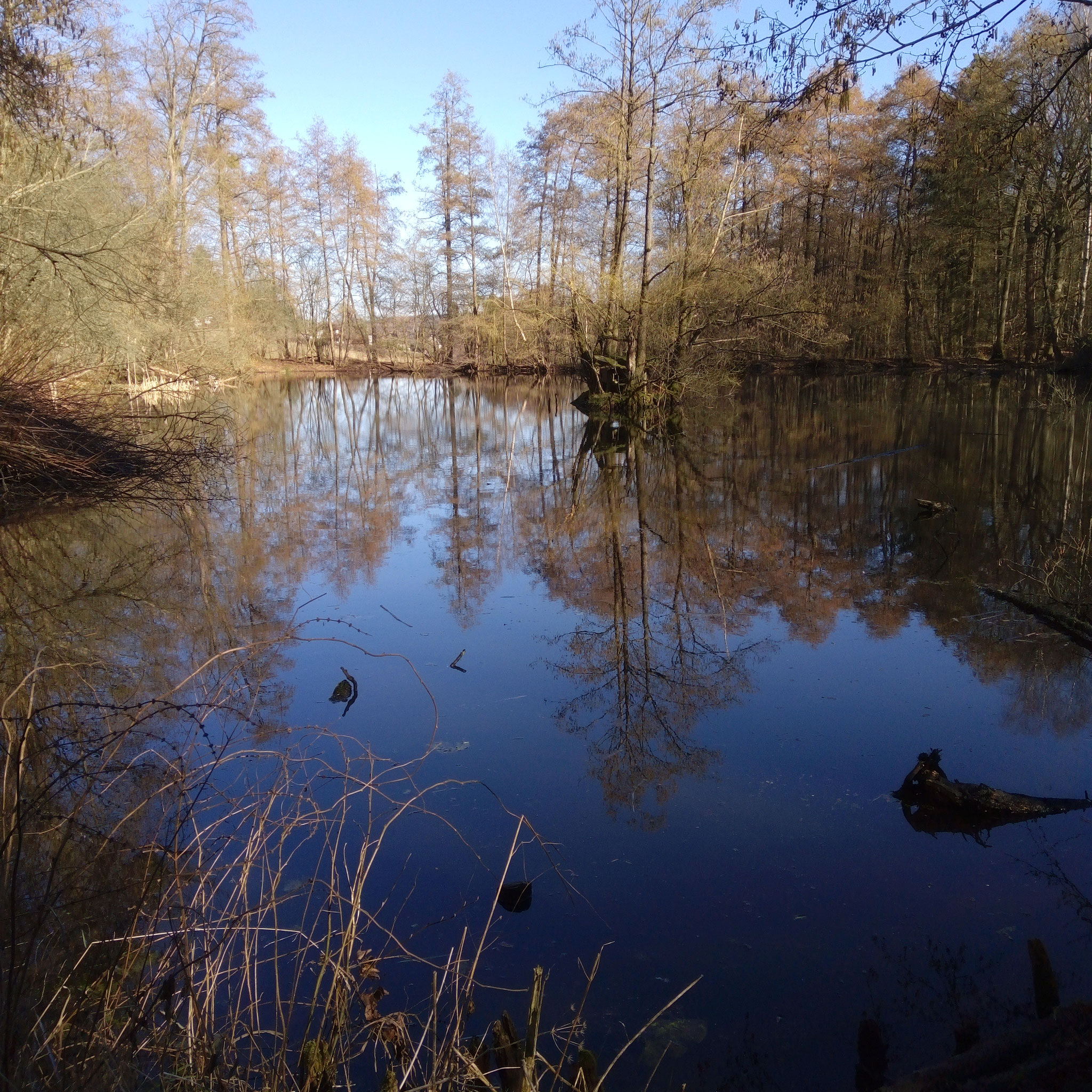 Rund um Träberts Teich Wolfgang Kißmer Familien und Heimatforschung