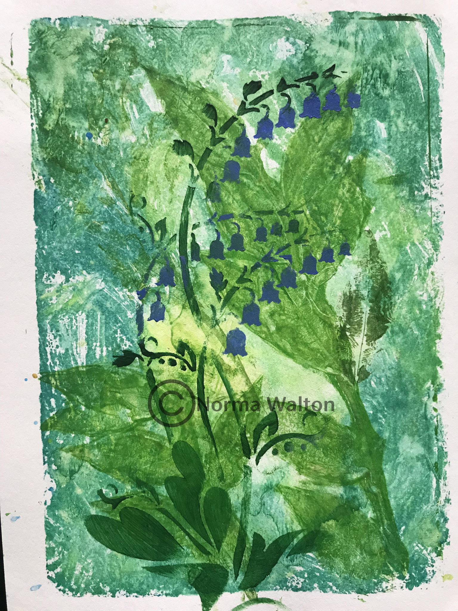 Bluebells 2