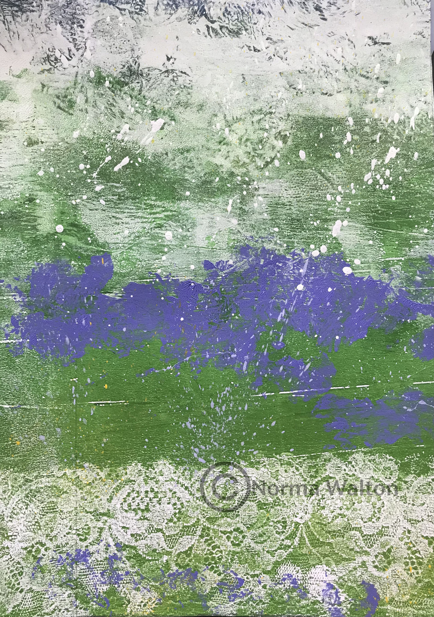 Bluebells-Lace