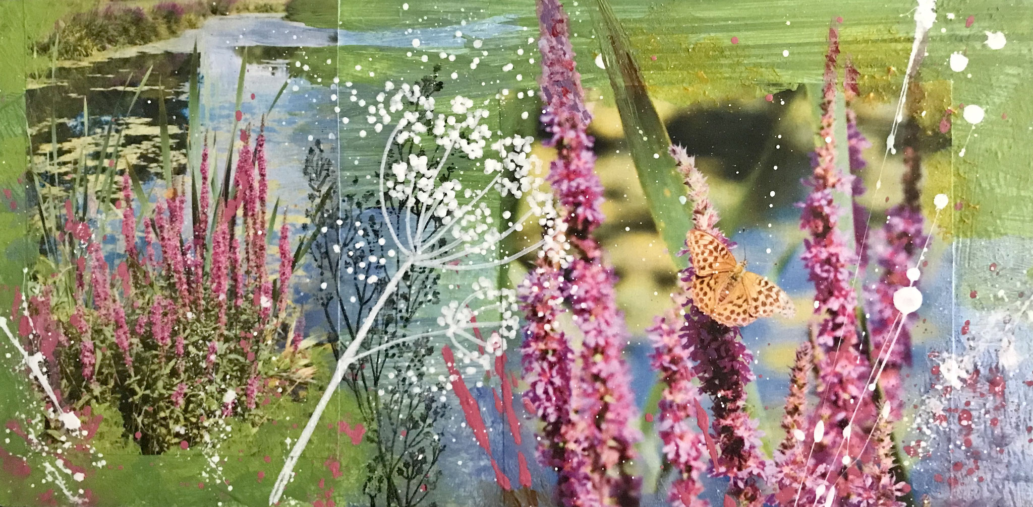 Berry Pomeroy Magic -collage