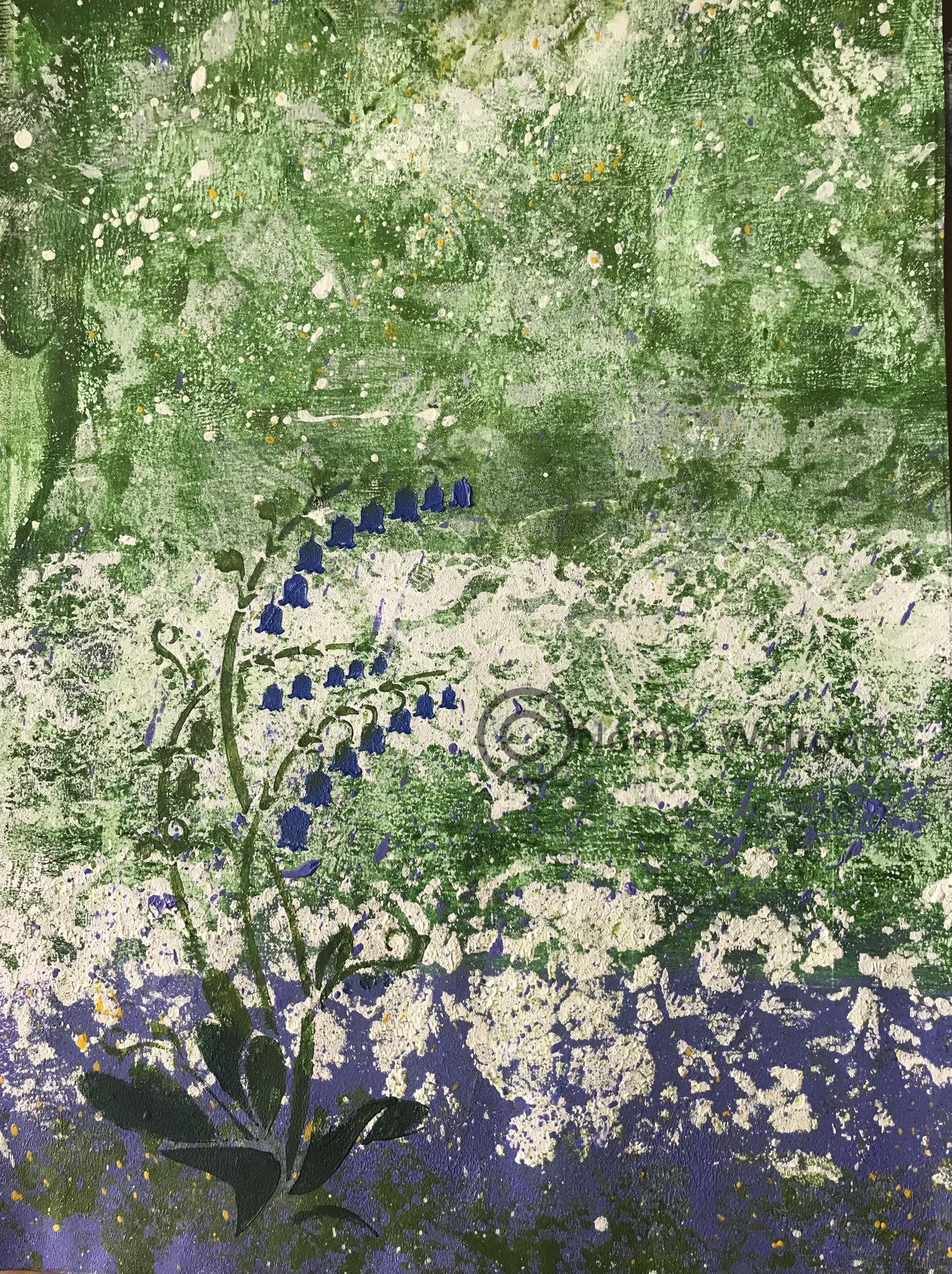 Bluebells