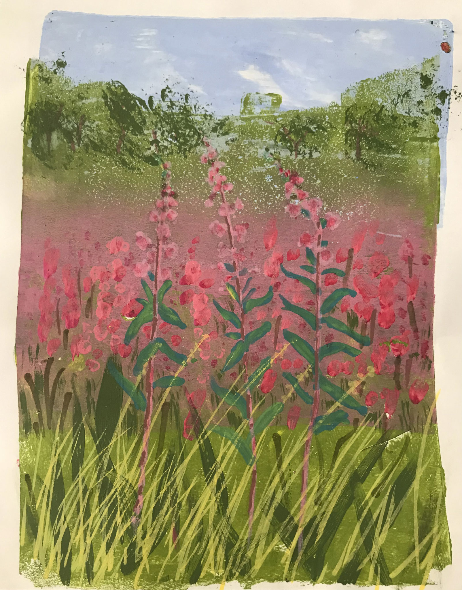 Summer Hedgerow