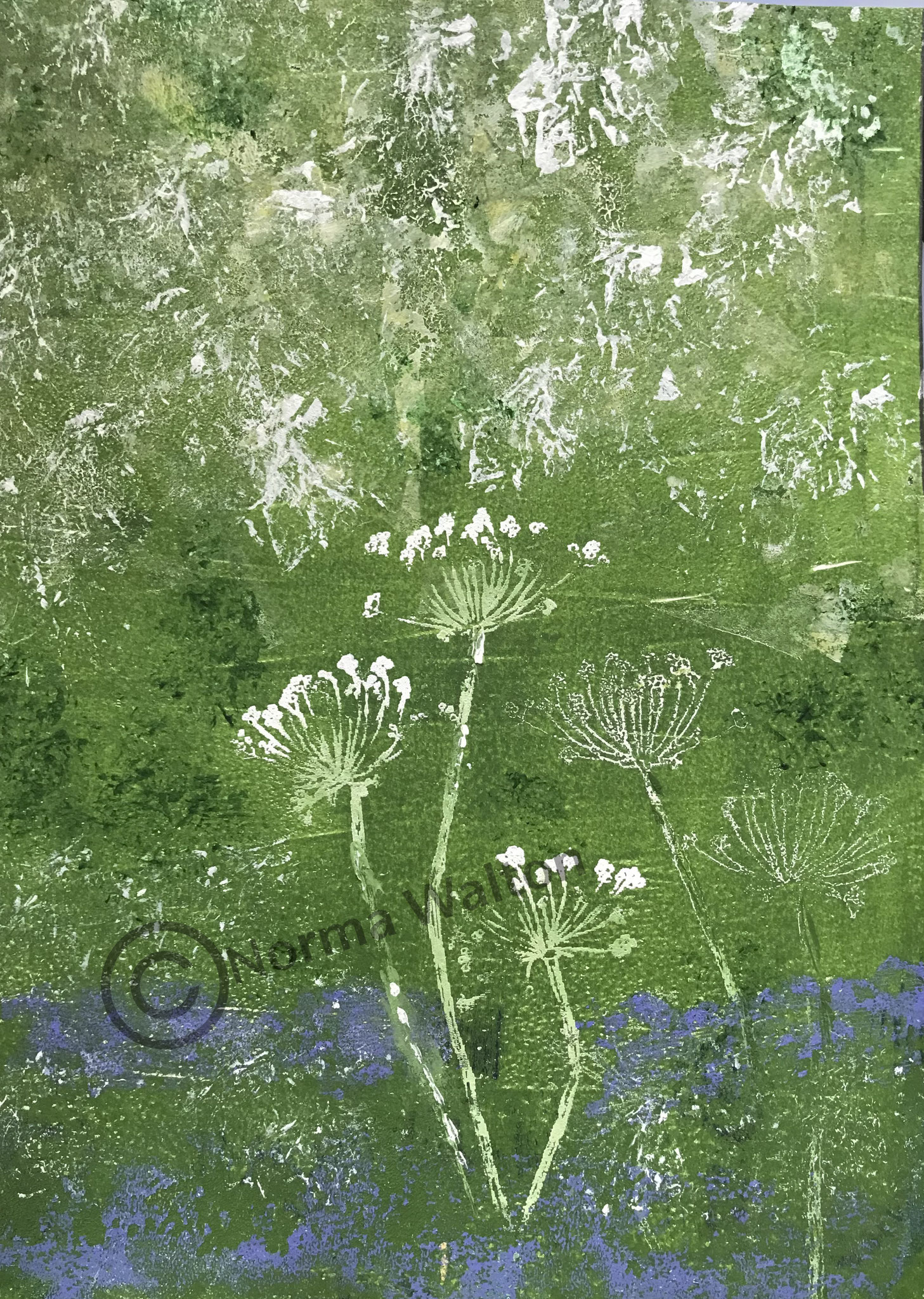 Hedgerow