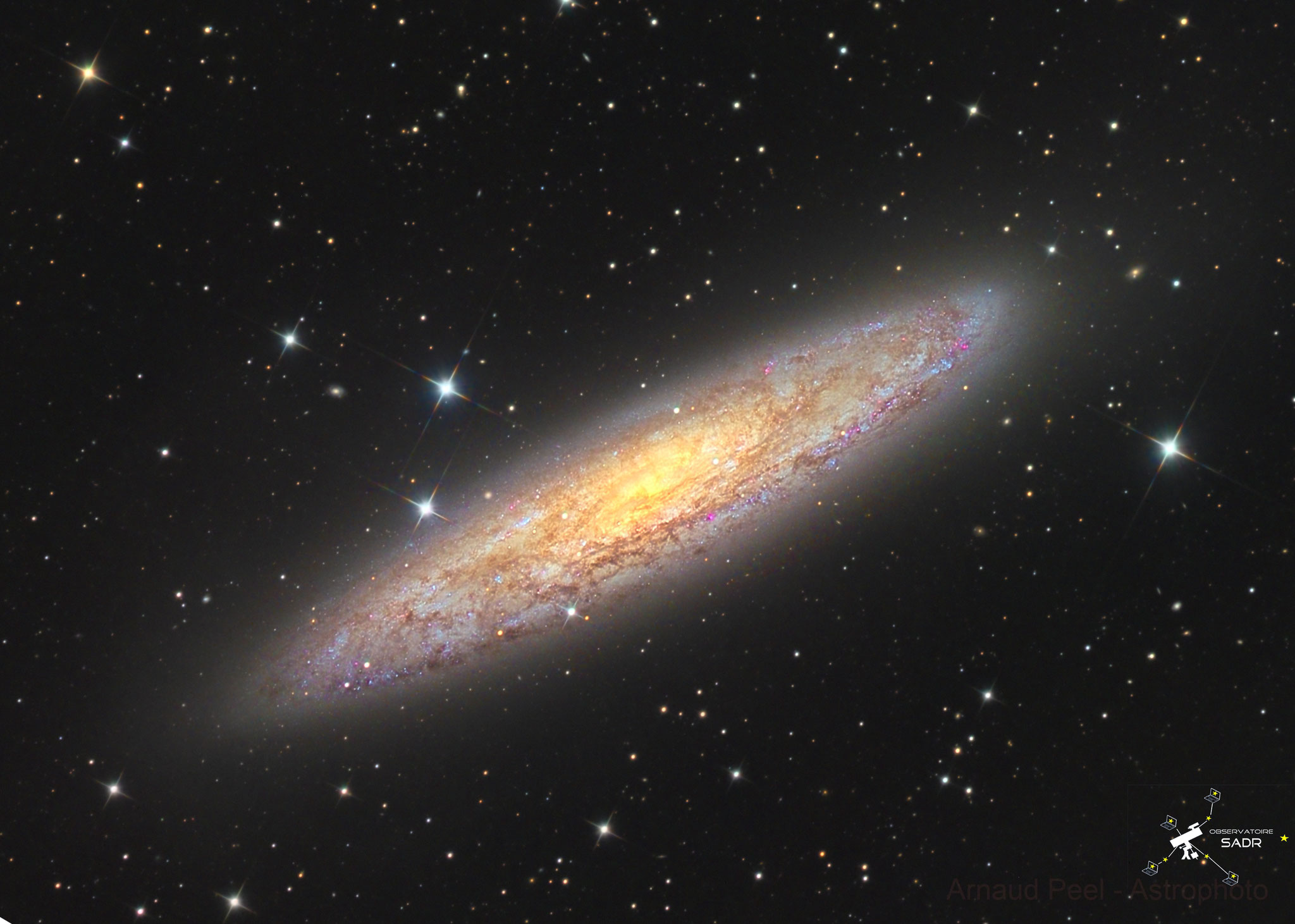 NGC253, la galaxie du Sculpteur, L(25x600), RVB (10x120 chaque), T355 mm, Sadr Chili, Arnaud