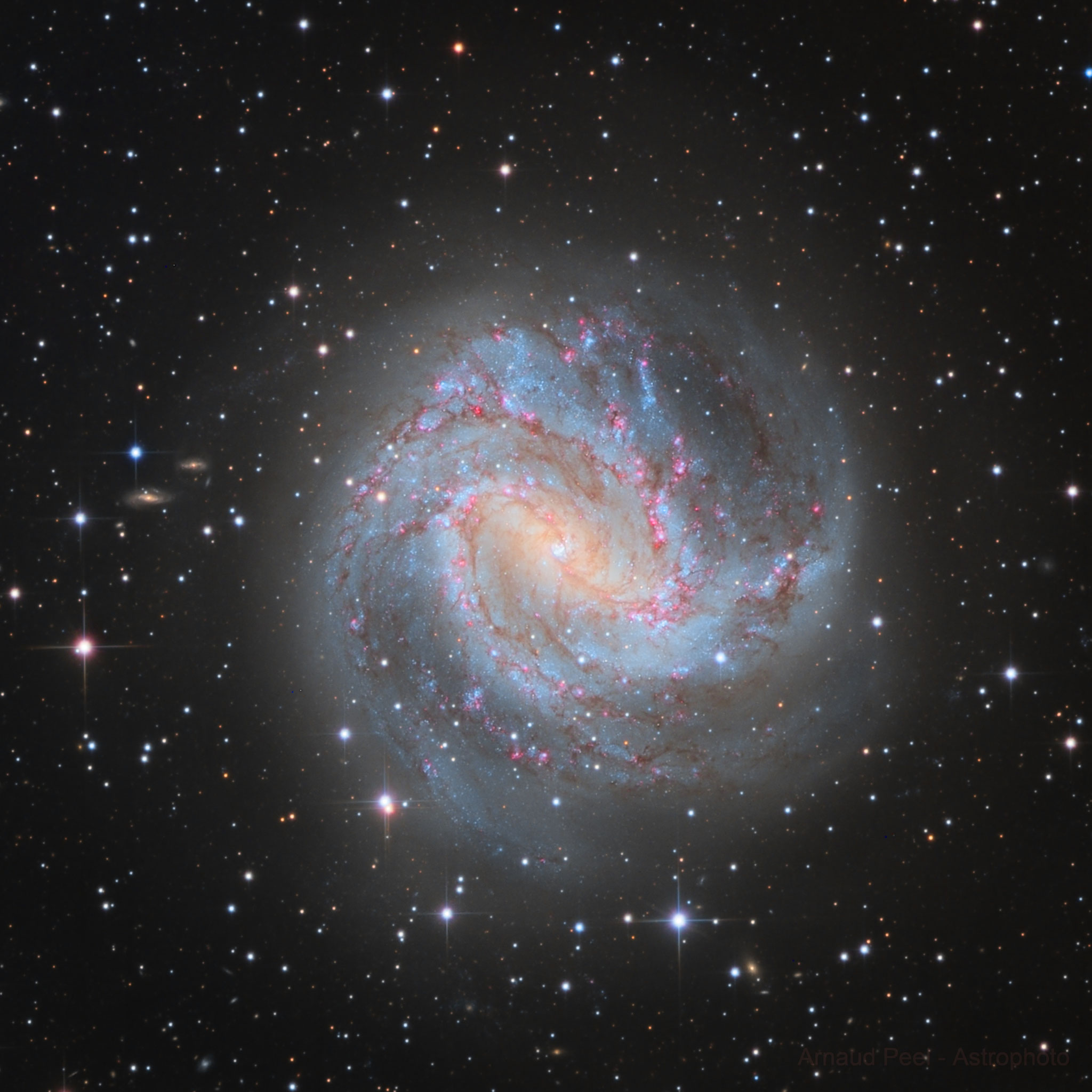 M83, galaxie australe du Moulinet, Atria Team, CDK 17''