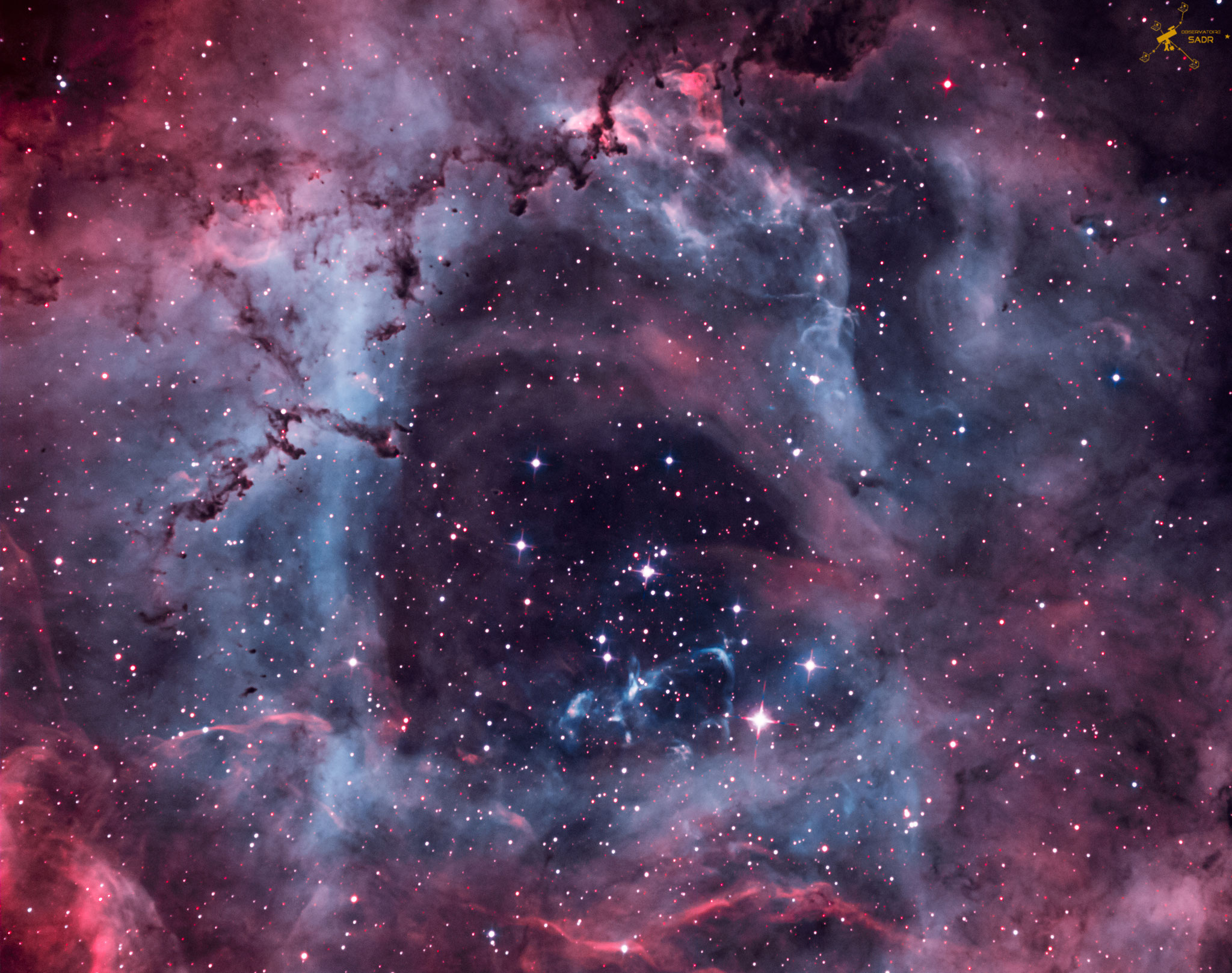 NGC 2244, la Rosette, T355, Sadr Chili, Loïck