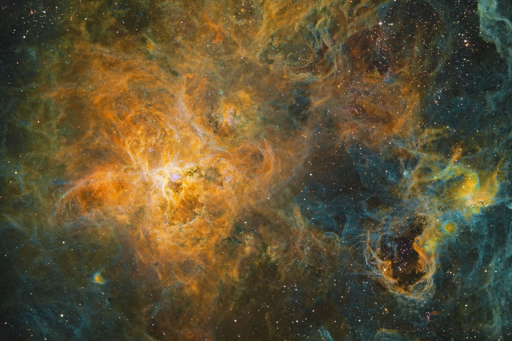 NGC 2070, nébuleuse de la Tarentule, Atria team, CDK 17, traitement Arnaud Peel