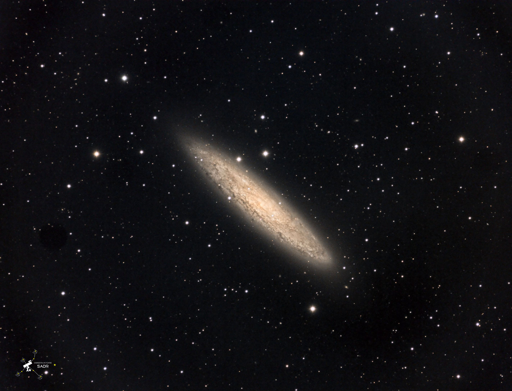 NGC253, la galaxie du Sculpteur, LRVB = 2h 55, lunette 127, Team LSD, novembre 2018