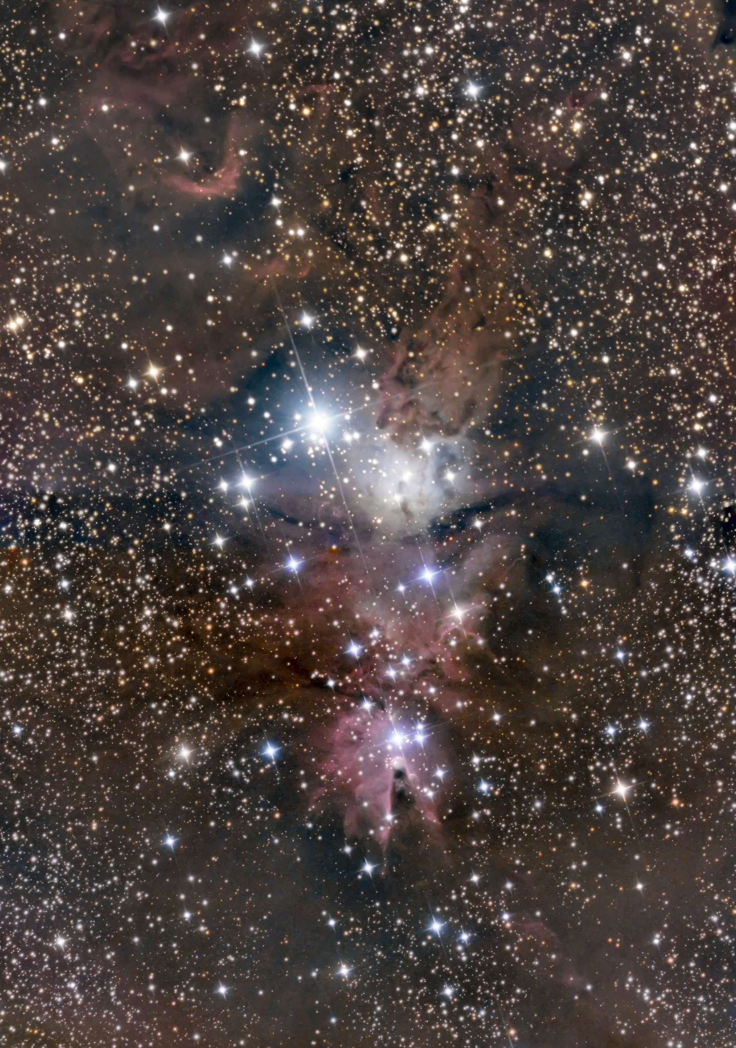 NGC2264, la nébuleuse du cône à 2700 al, constellation de la Licorne, janvier 2017, Fabien