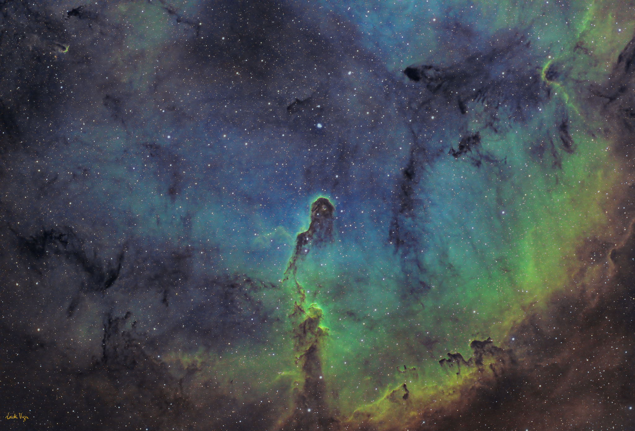 IC 1396, la trompe de l'éléphant, Sadr Chili, Loïck