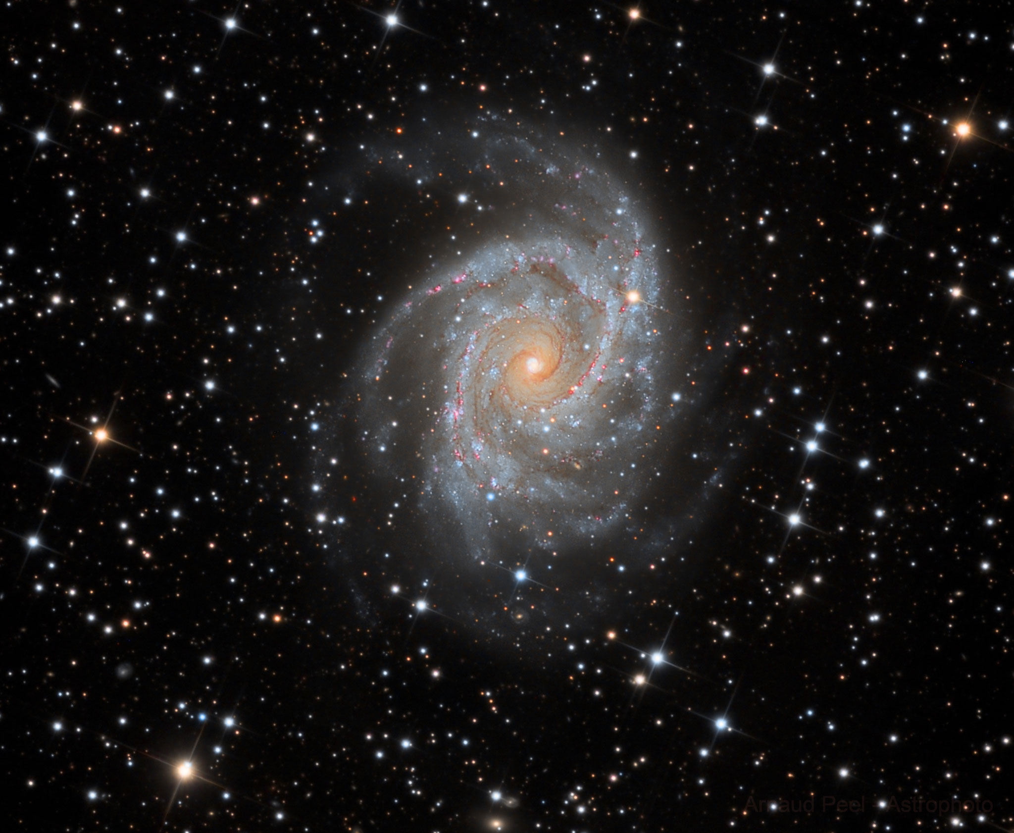 NGC 2997, Atria team, CDK 17", traitement Arnaud Peel