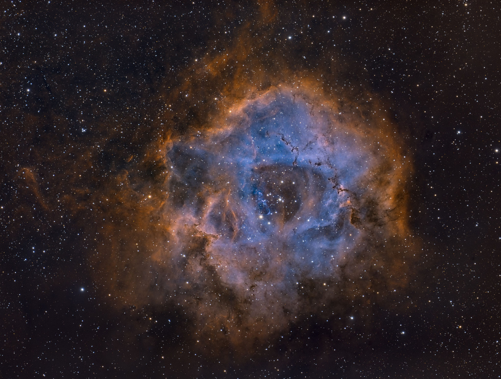 NGC 2244, la nébuleuse de la Rosette, L71, Emmanuel Valin