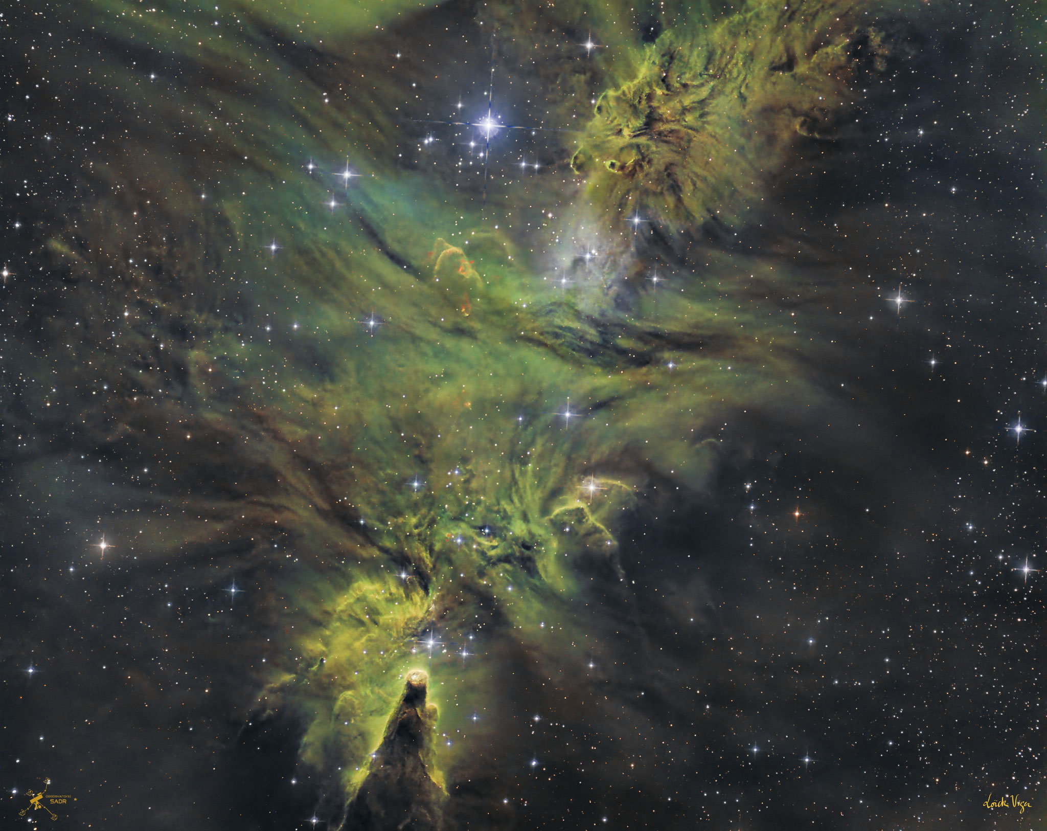 NGC 2264, la nébuleuse de l'arbre de Noël, T355, Loïck Viger
