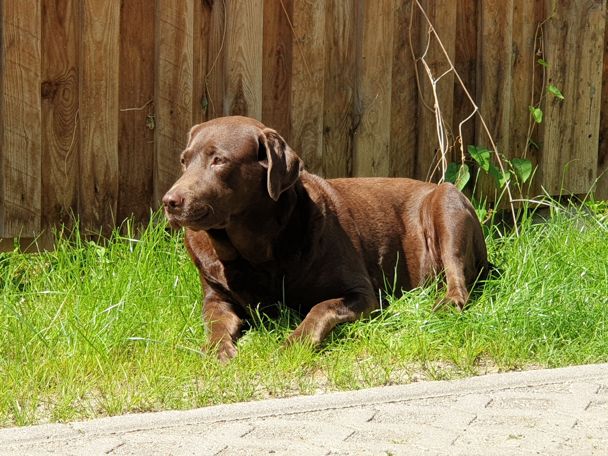 Unsere Emma 