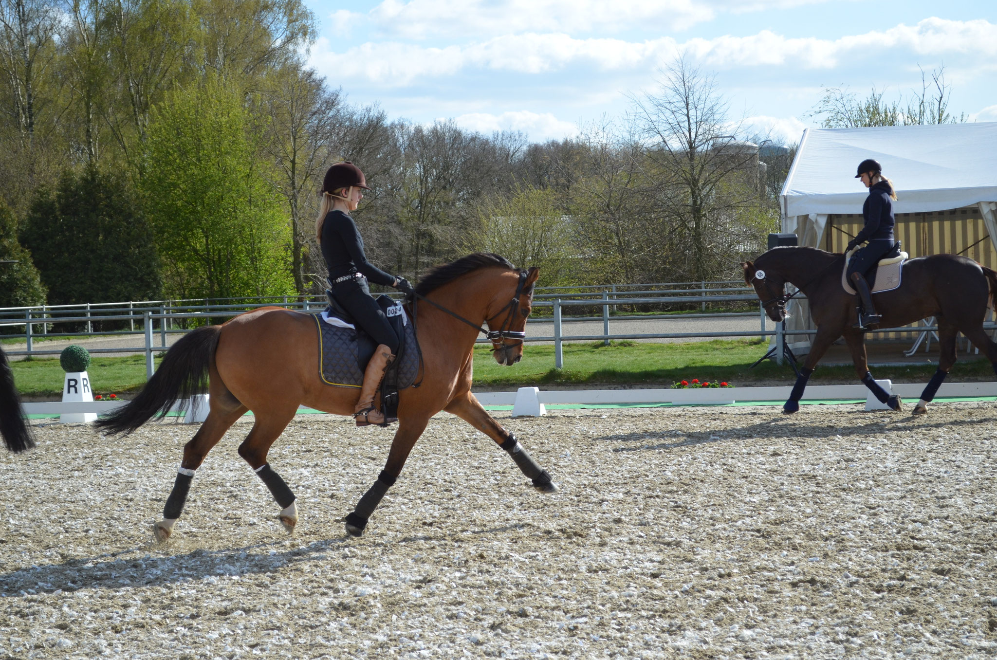 Sichtung Preis der Besten - Training