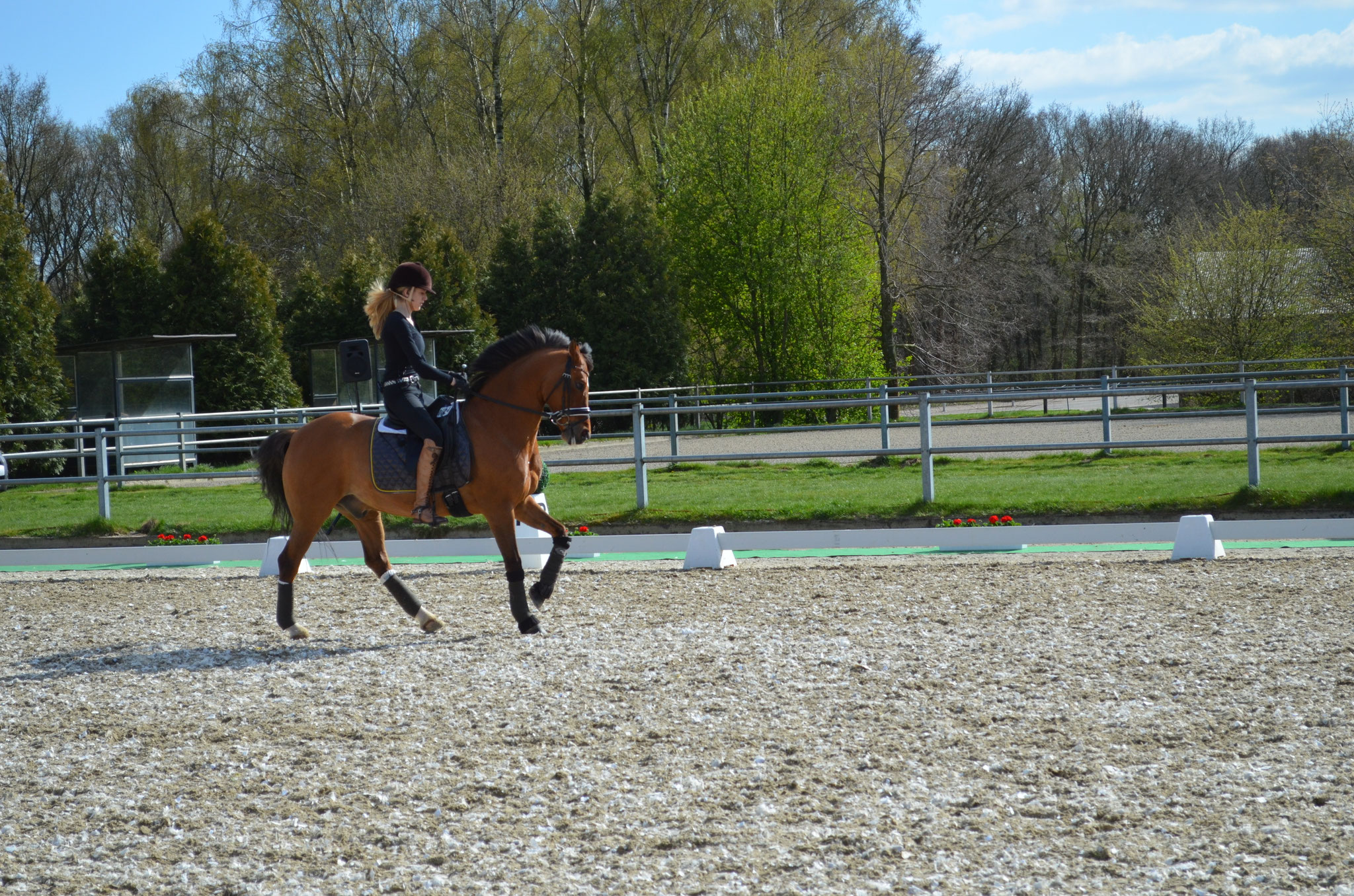 Sichtung Preis der Besten - Training