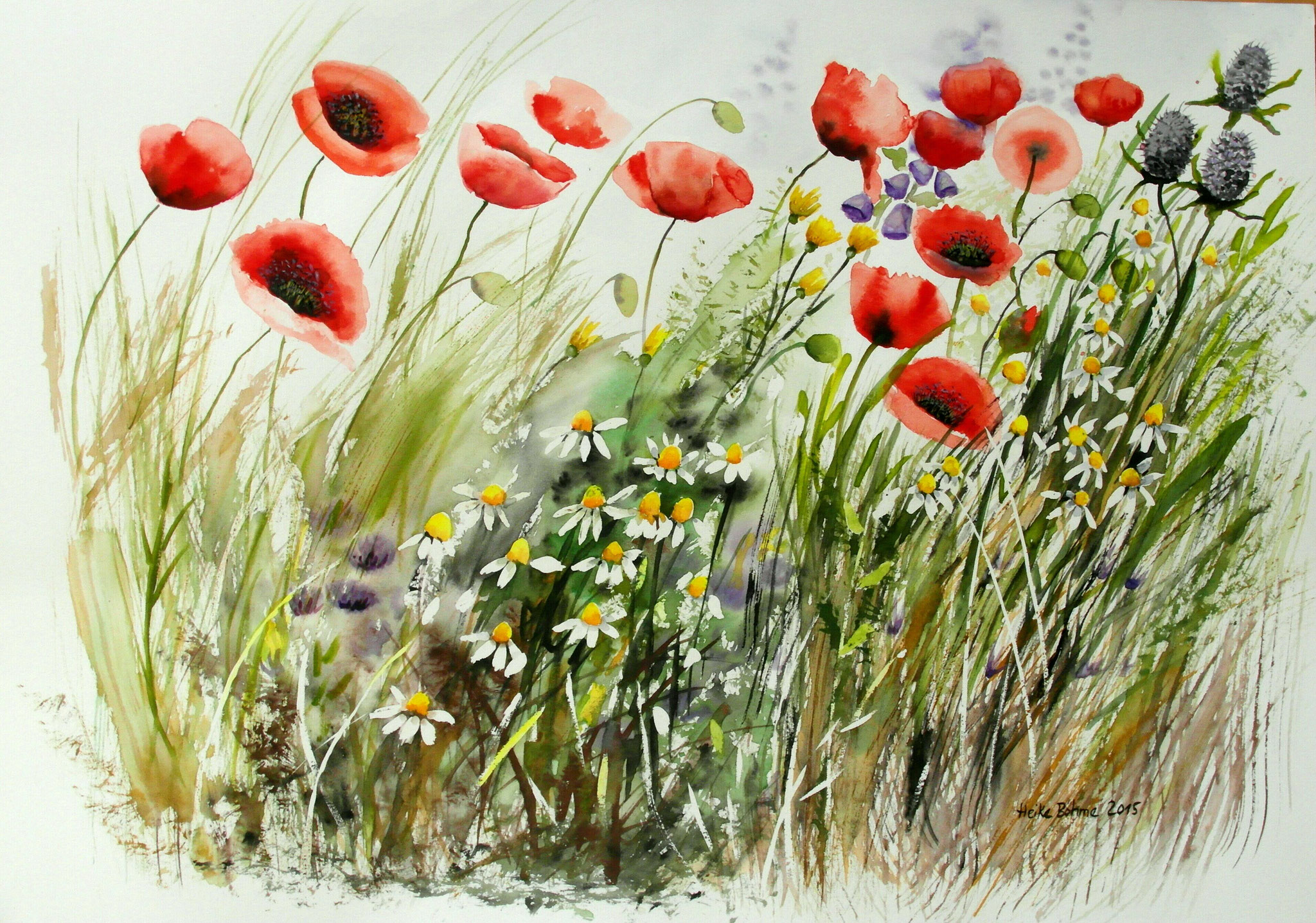 Mohn mit Kamille Aquarell