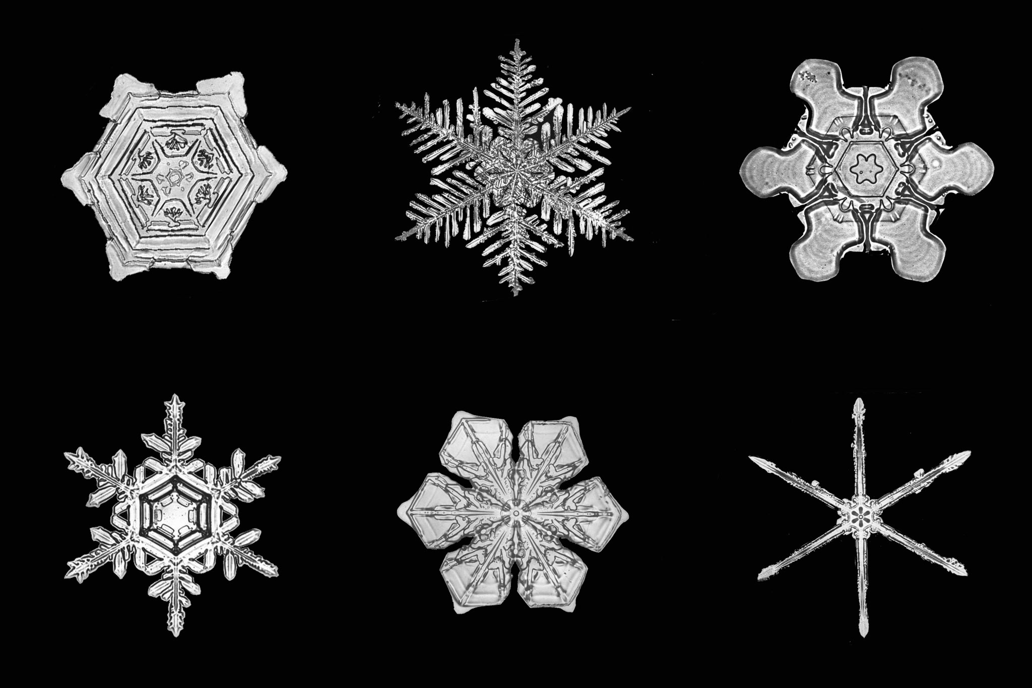 Mostra Senso neve
