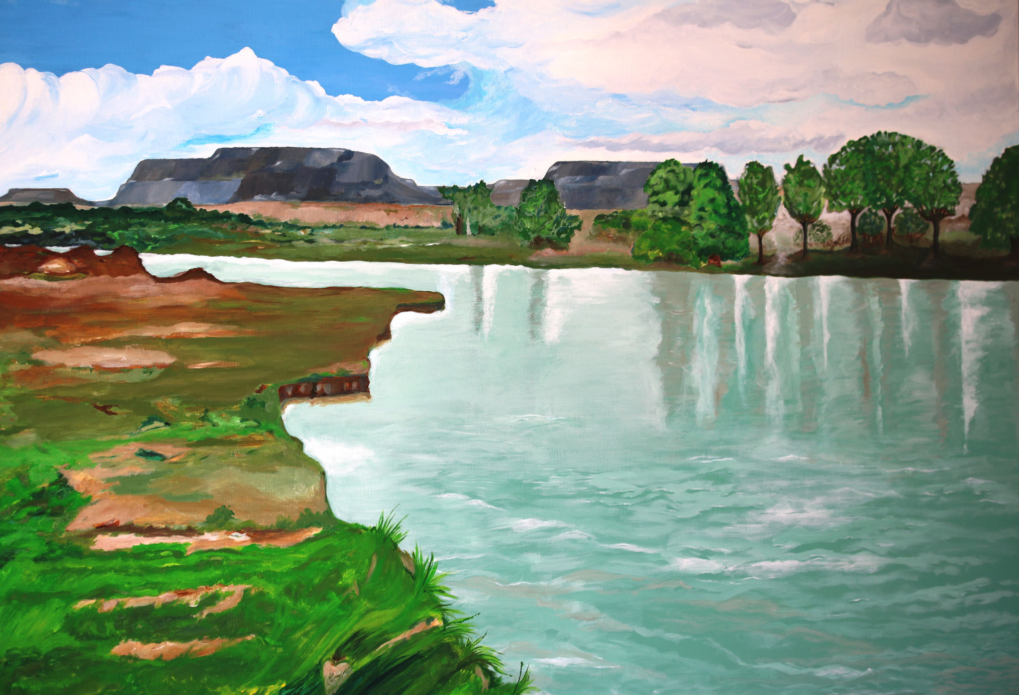 Rio Grande, New Mexico, 100 x 120 cm 