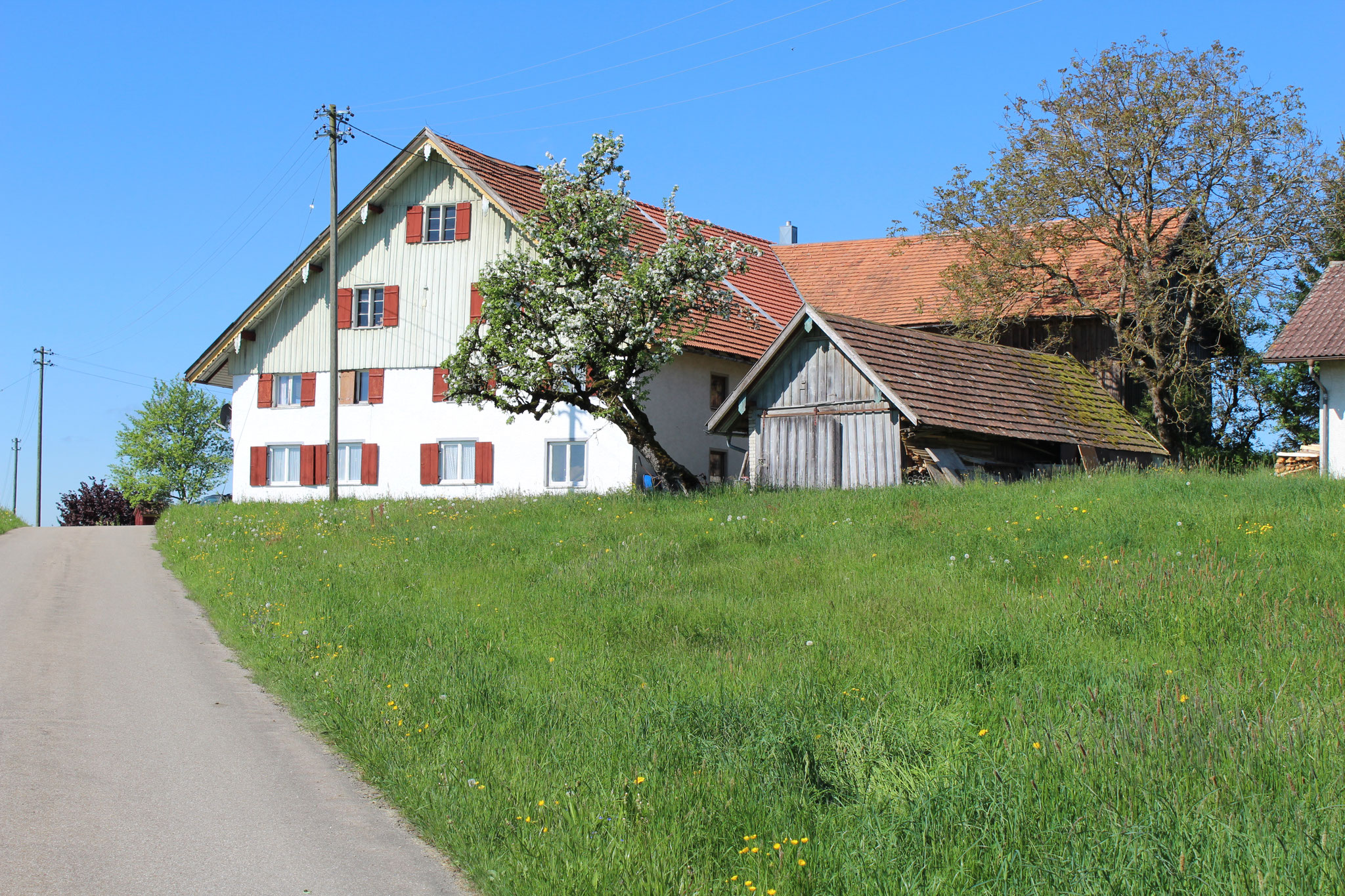 Das Haus