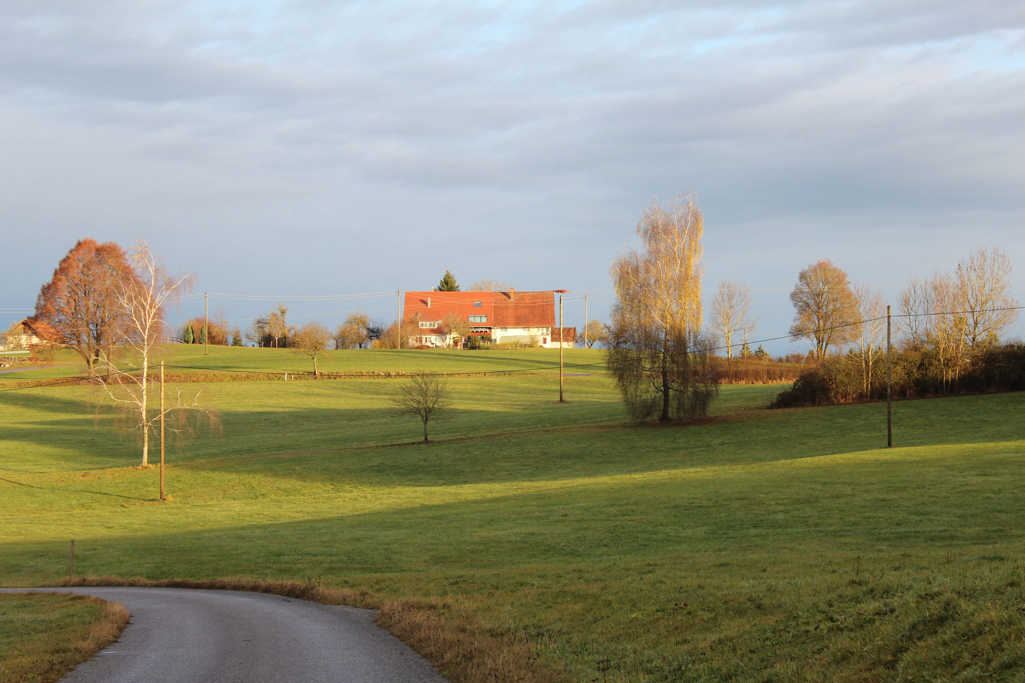 Das Haus