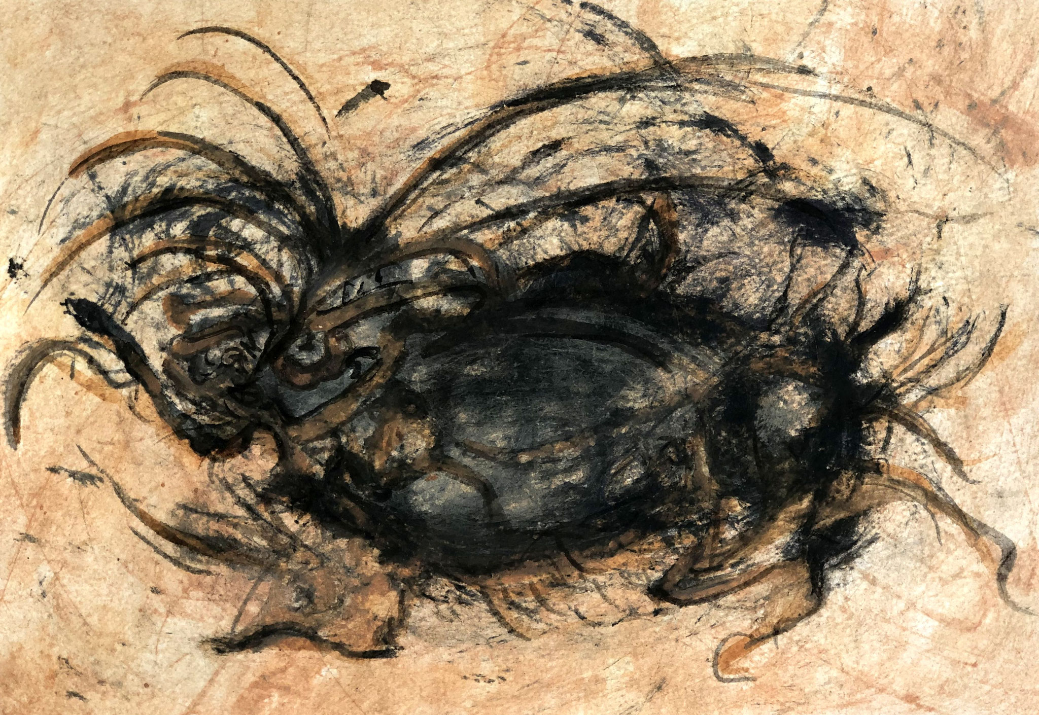 RETINTO V    Erden, Tintensekret vom Kalmar und Olivensaft auf Papier - 21 x 29 cm