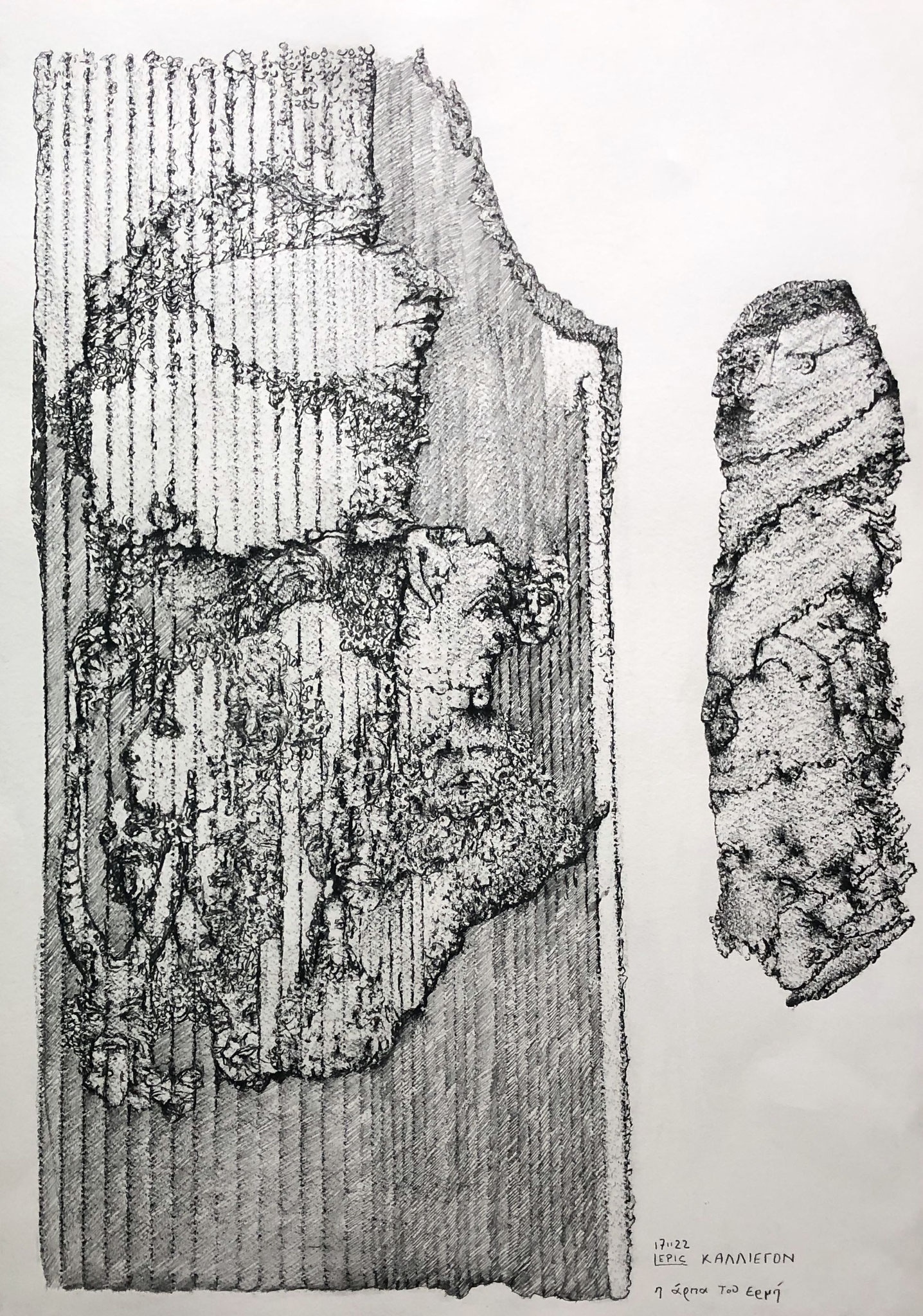 KALLIERGON V/DIE HARFE DES HERMES    Graphit auf Papier    70 x 50 cm