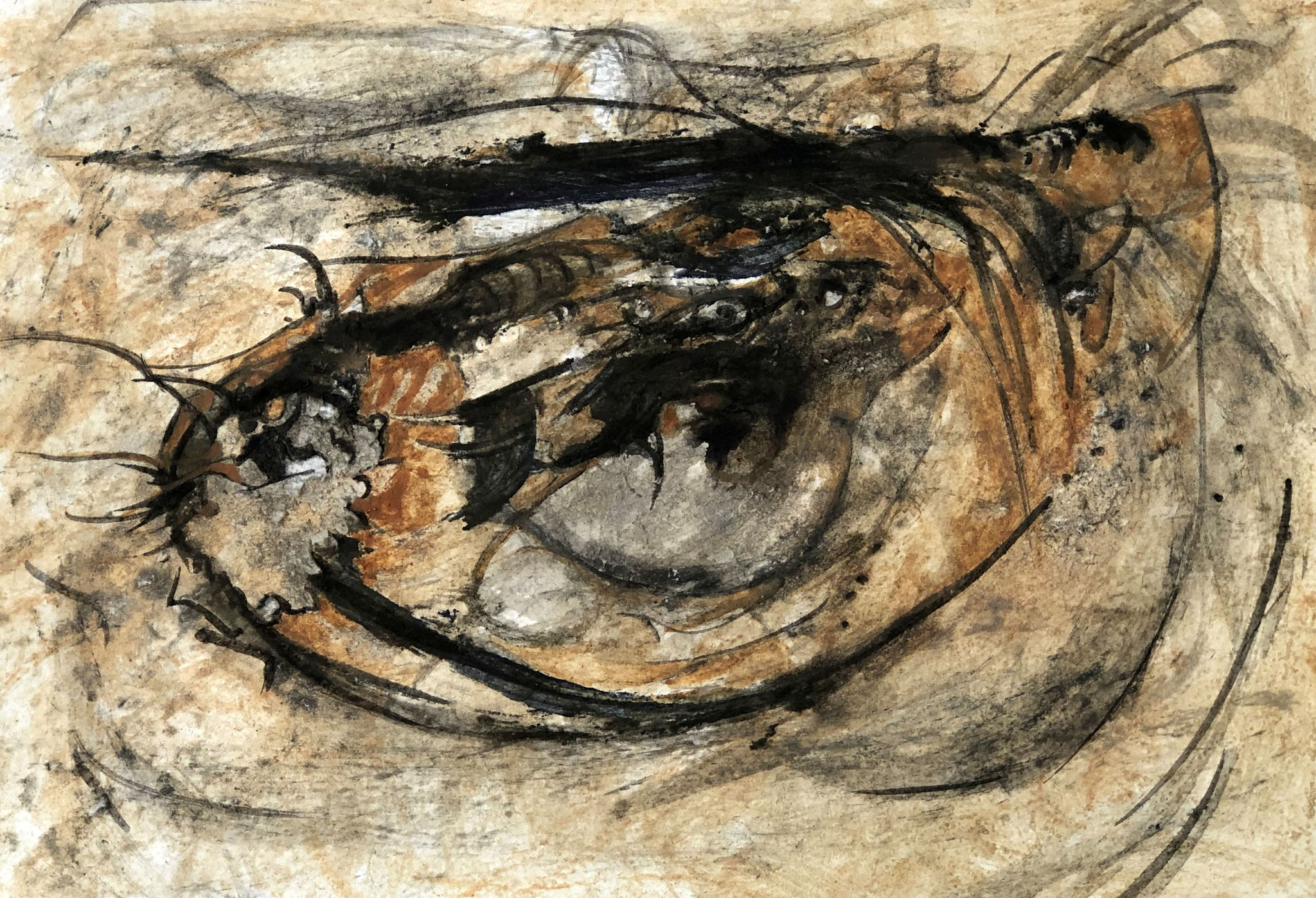 RETINTO VII    Erden, Tintensekret vom Kalmar und Olivensaft auf Papier - 21 x 29 cm
