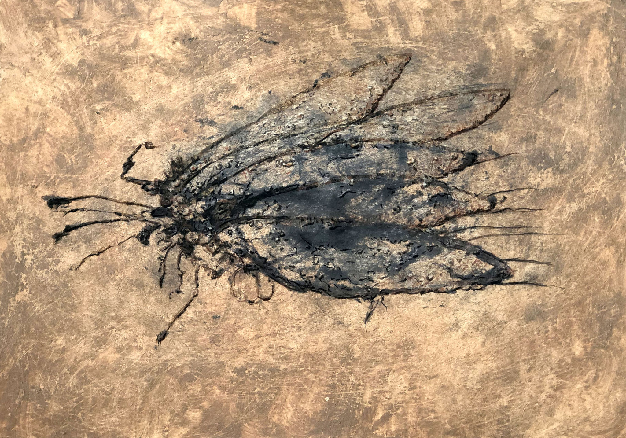 RETINTO III    Erden, Tintensekret vom Kalmar und Olivensaft auf Papier - 21 x 29 cm