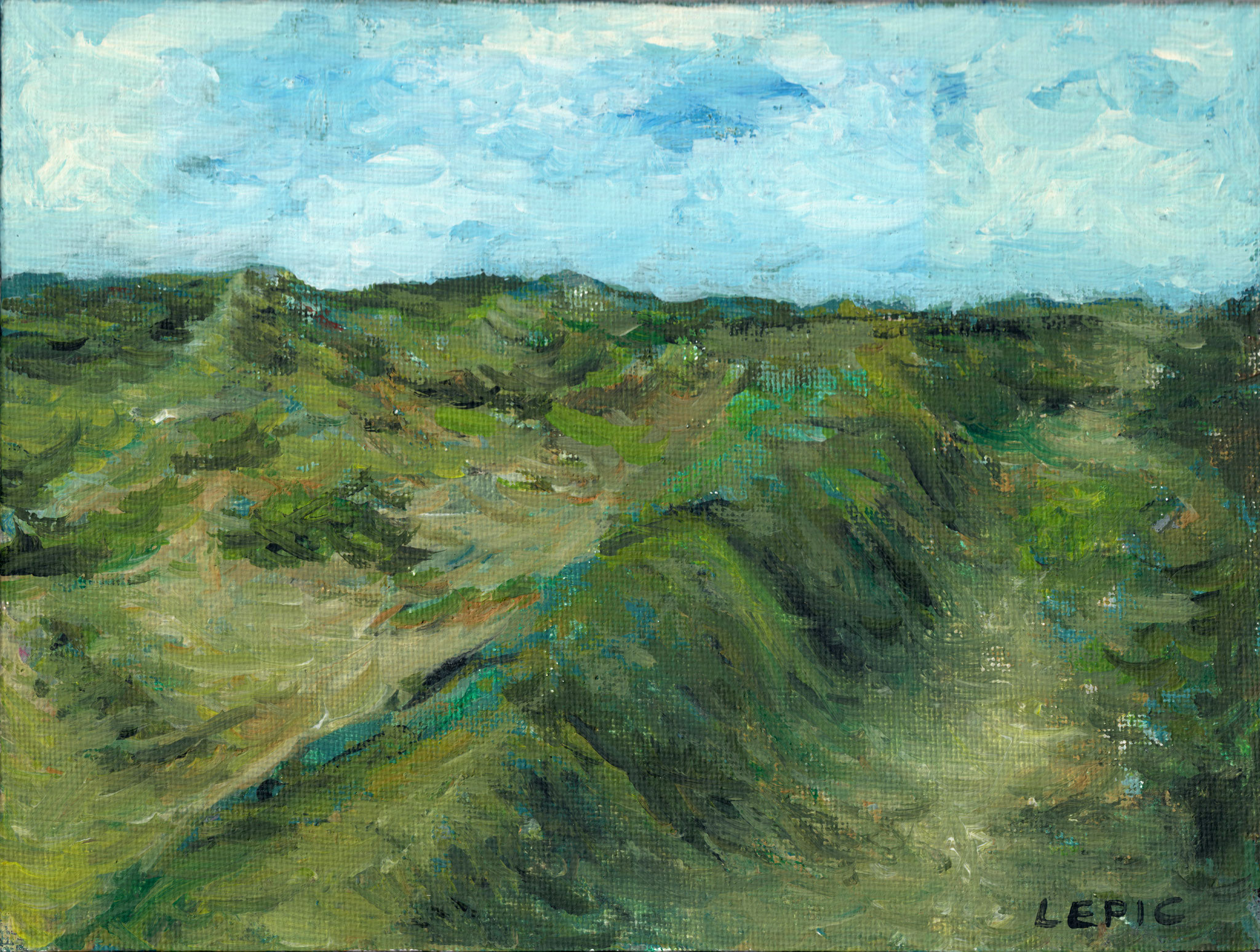 DÜNENHEIDE AUF HIDDENSEE    Acryl auf Leinwand - 15 x 20 cm 