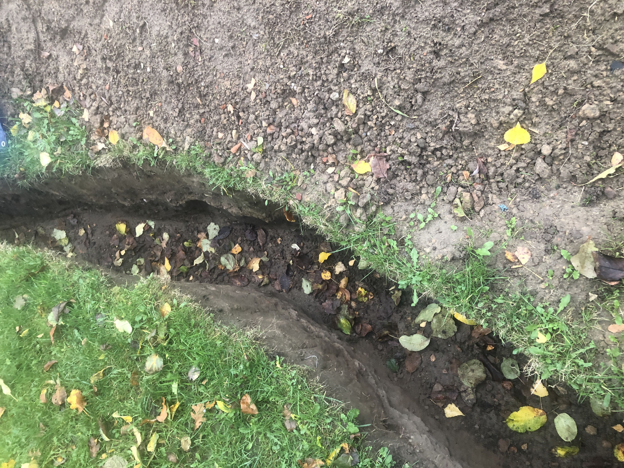 Projekt - Regen- und Grundwassernutzung - Gartenbotschafter