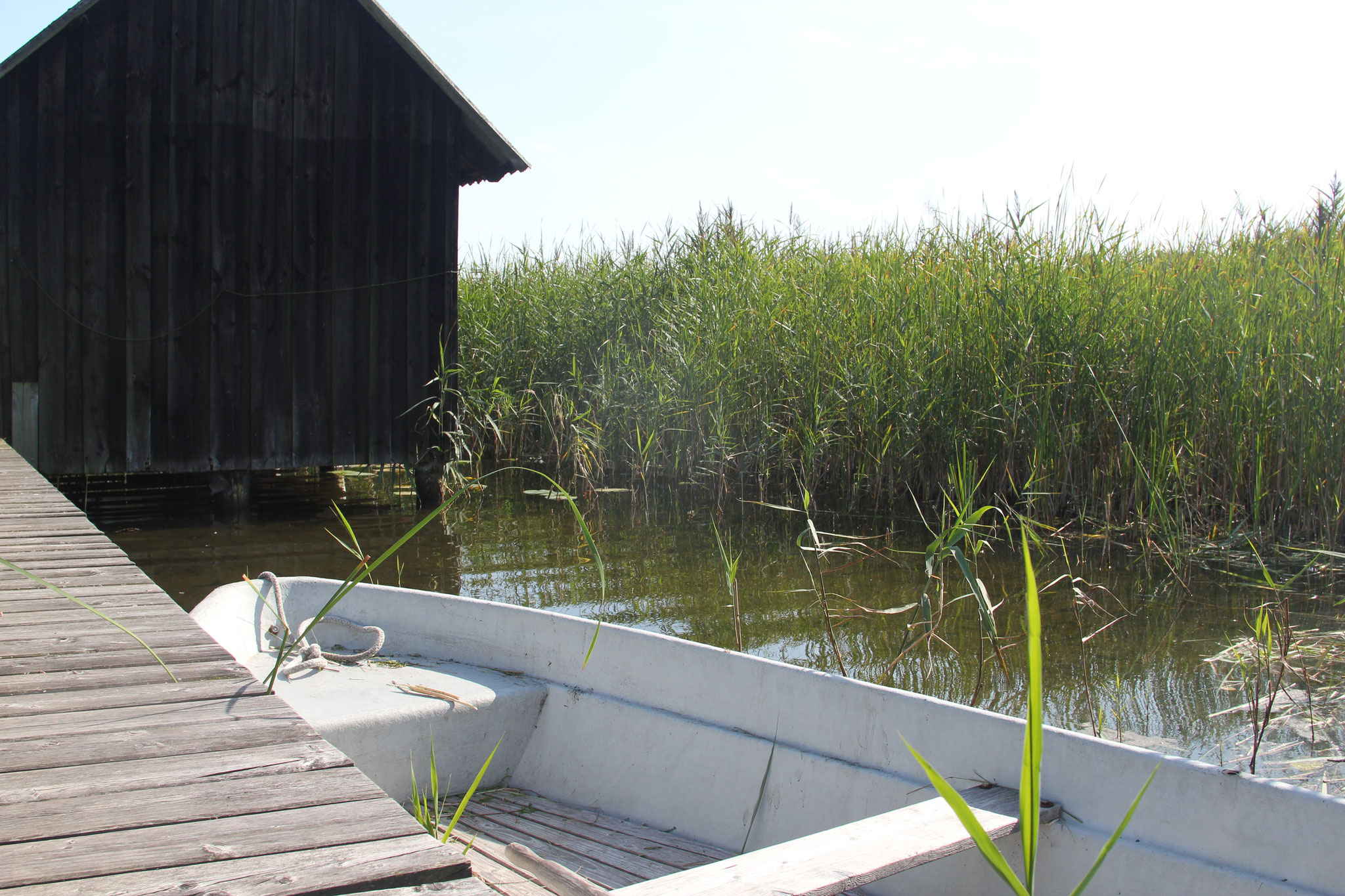 Hafen mit Ruderboot