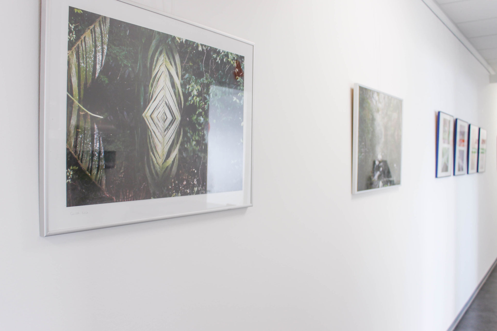 Galerie