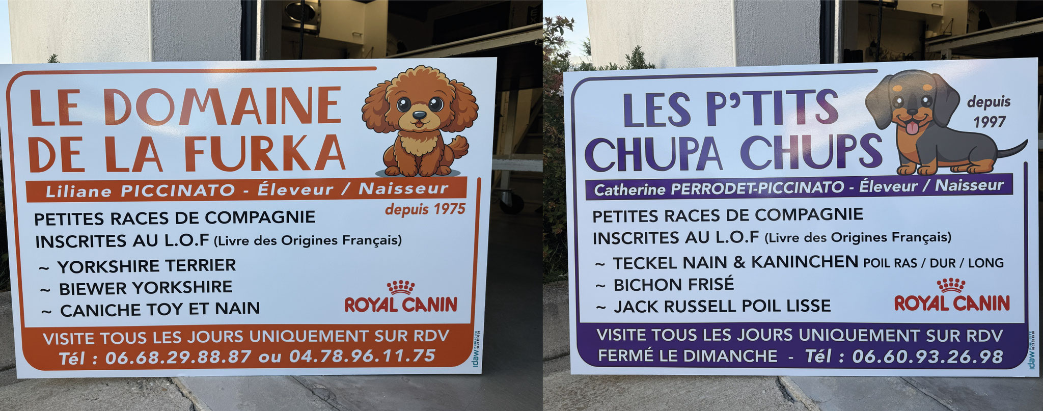 panneau publicitaire marquage véhicule professionnel à Lyon lettrage adhésif vitrophanie autocollants muraux habillage vitrine enseigne décoration adhésive sur mesure dépoli vinyle microperforé signalétique personnalisée impression logo à Saint Priest