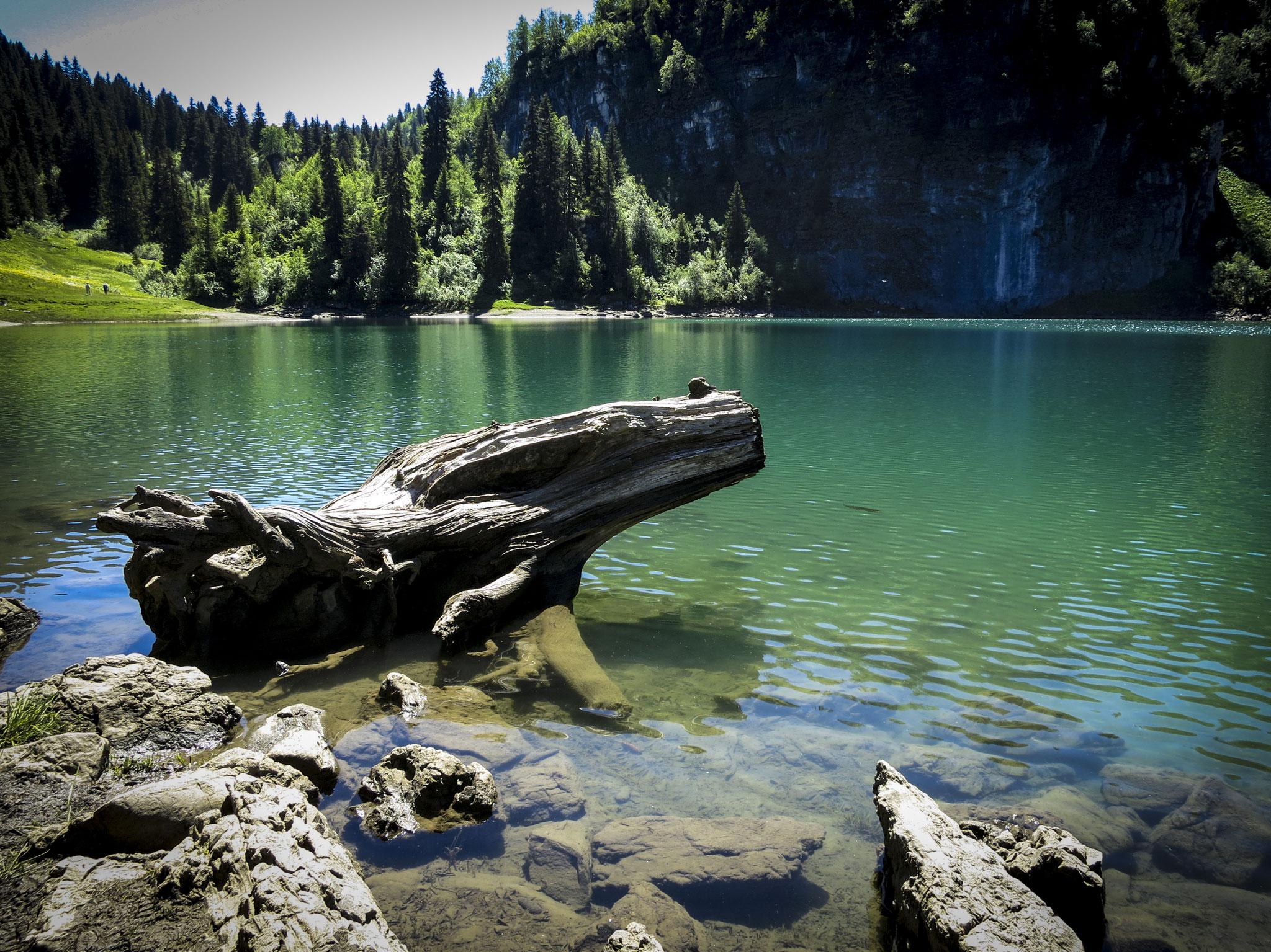 Lac des Chavonnes